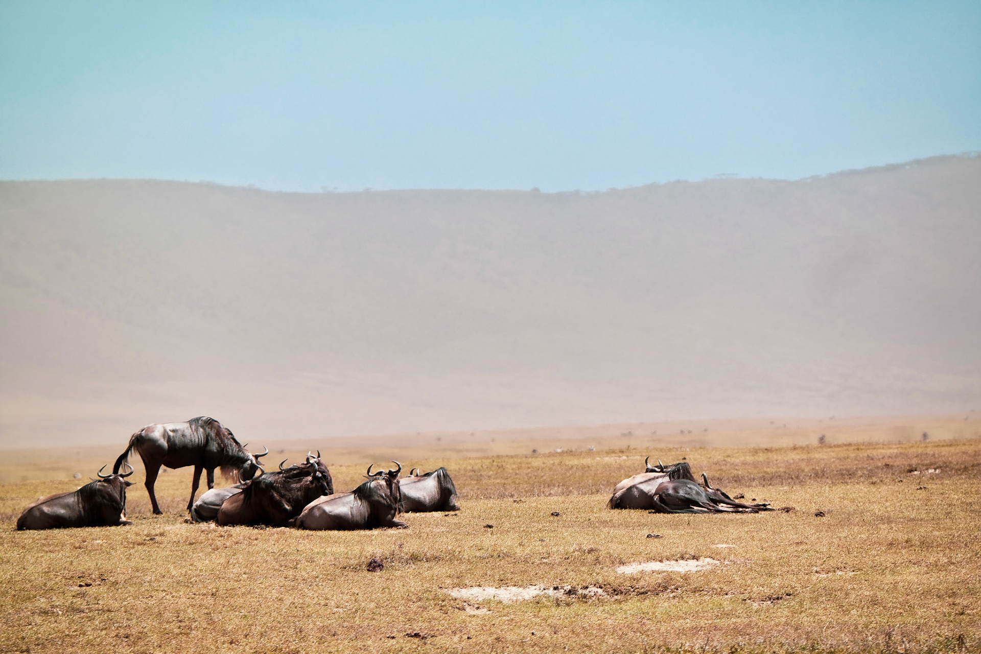 Tanzania Africa
