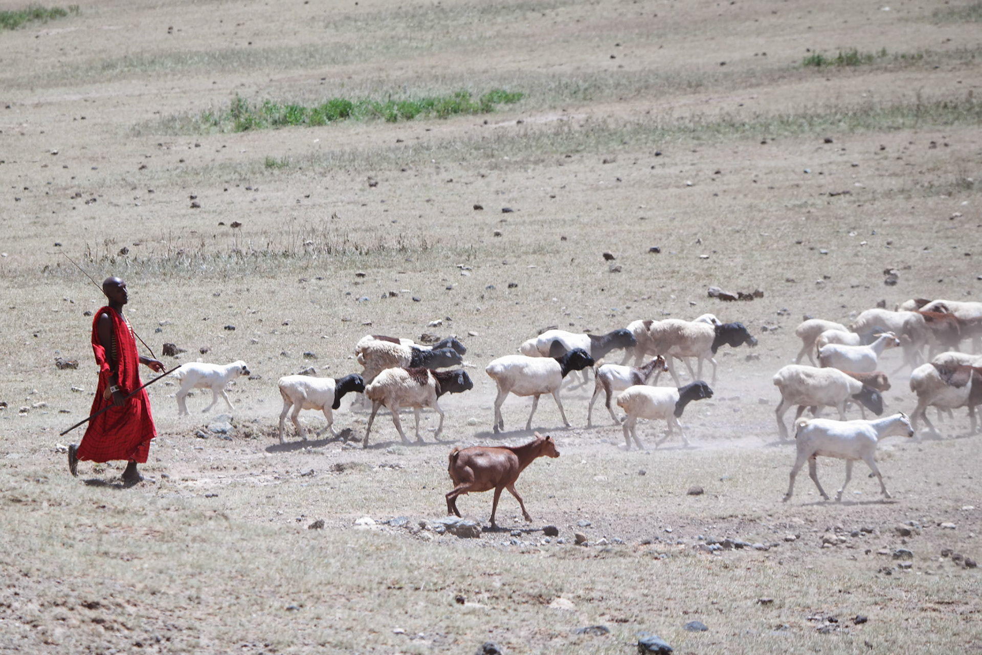 Tanzania Africa