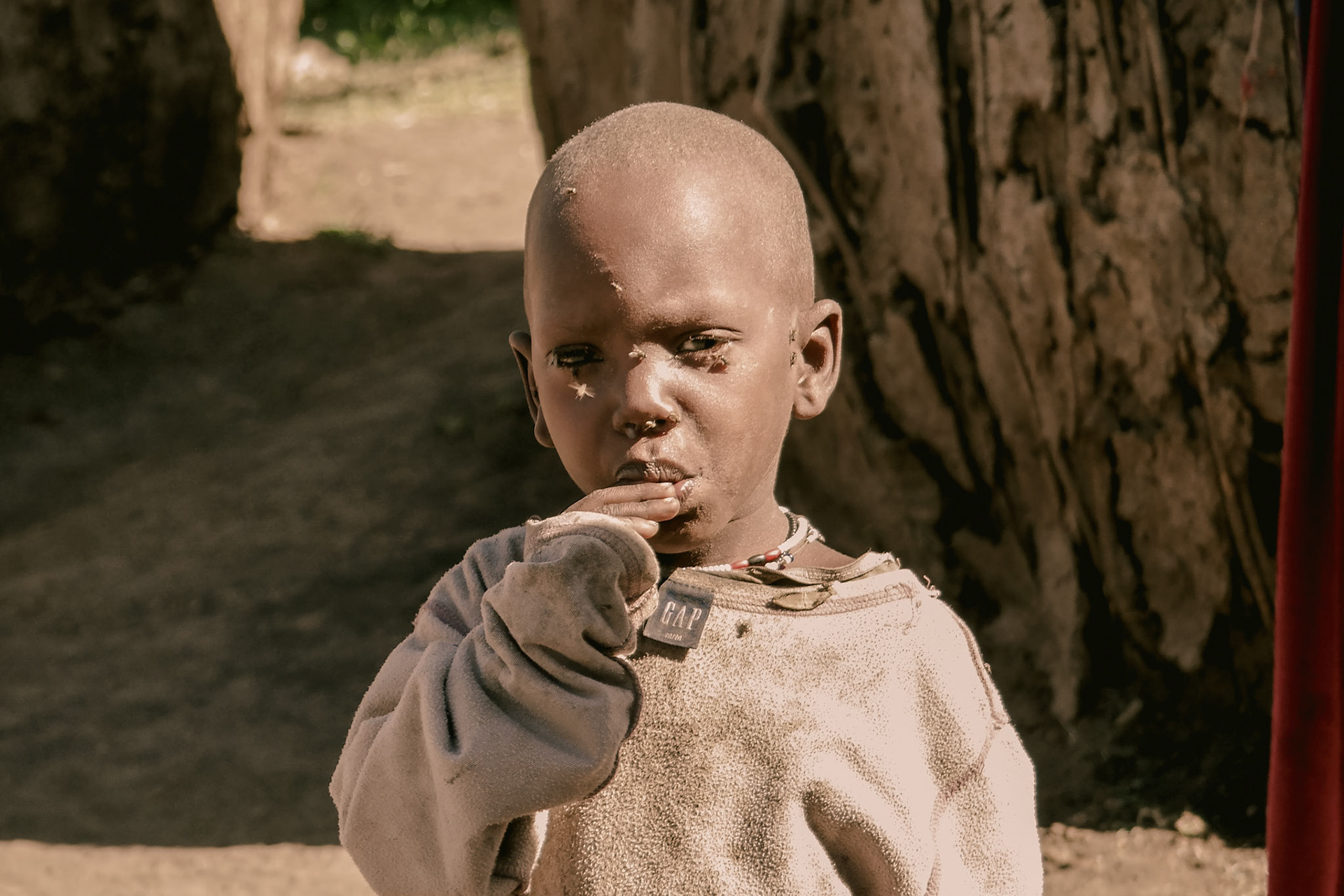 Tanzania Africa