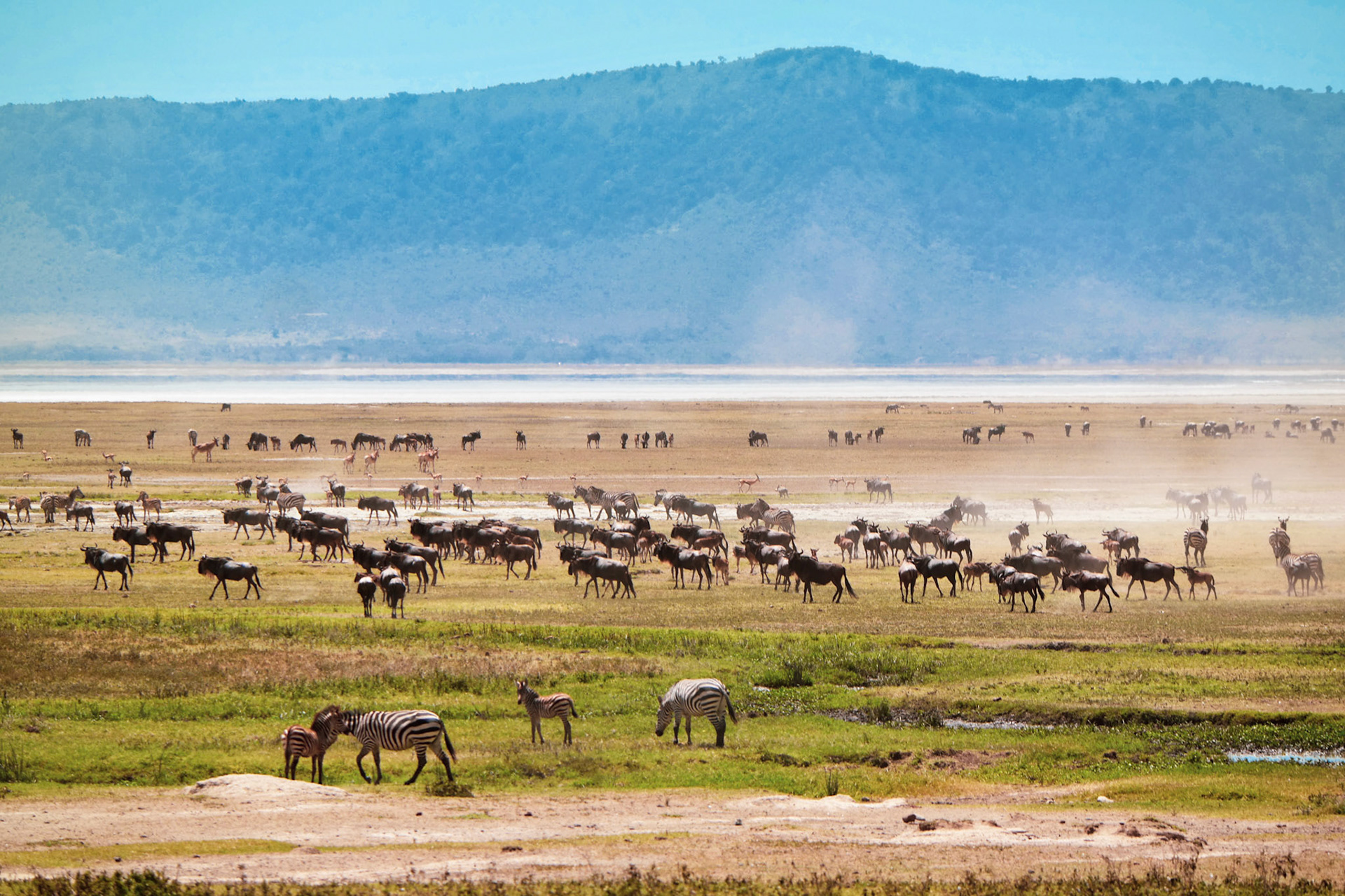 Tanzania Africa
