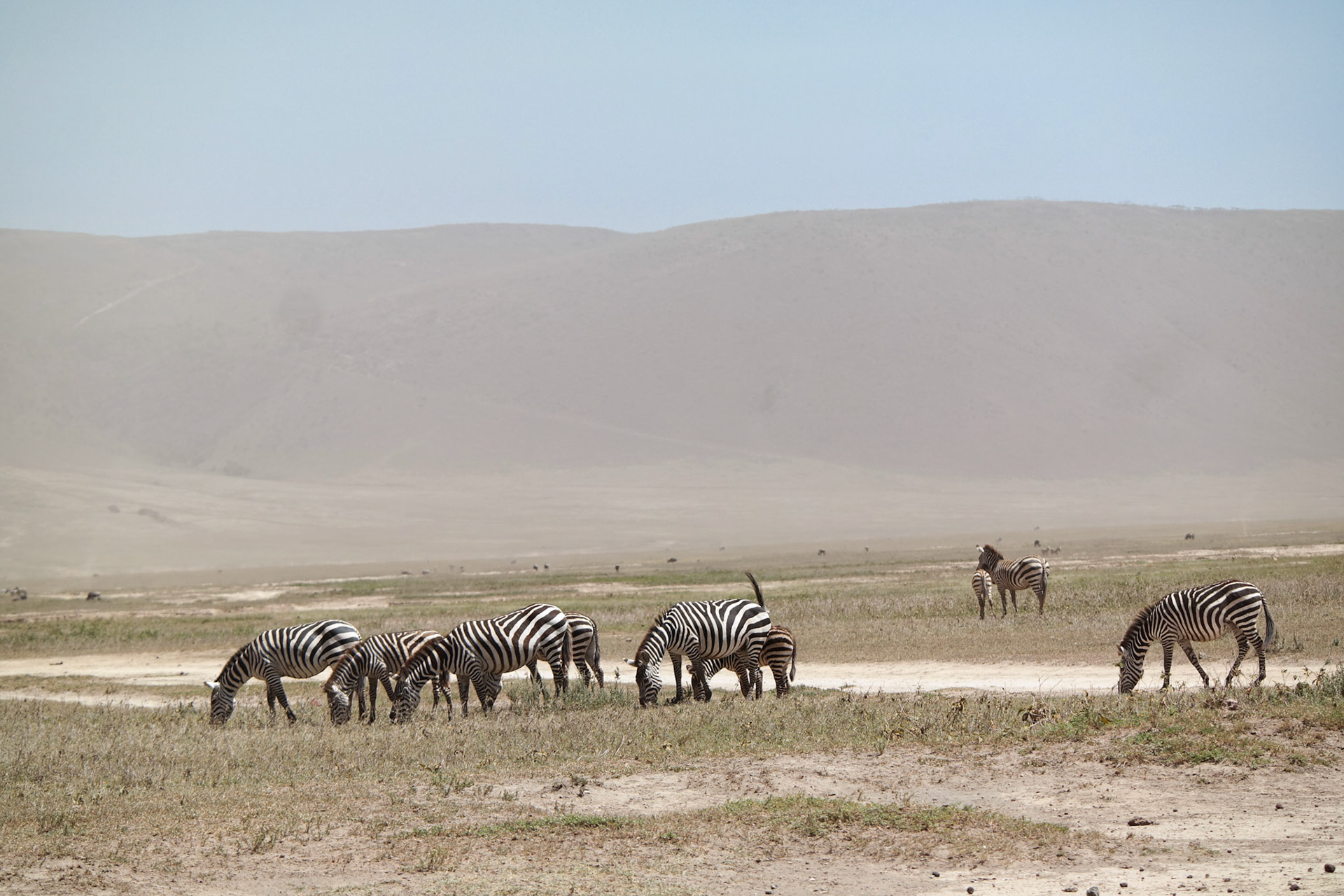 Tanzania Africa