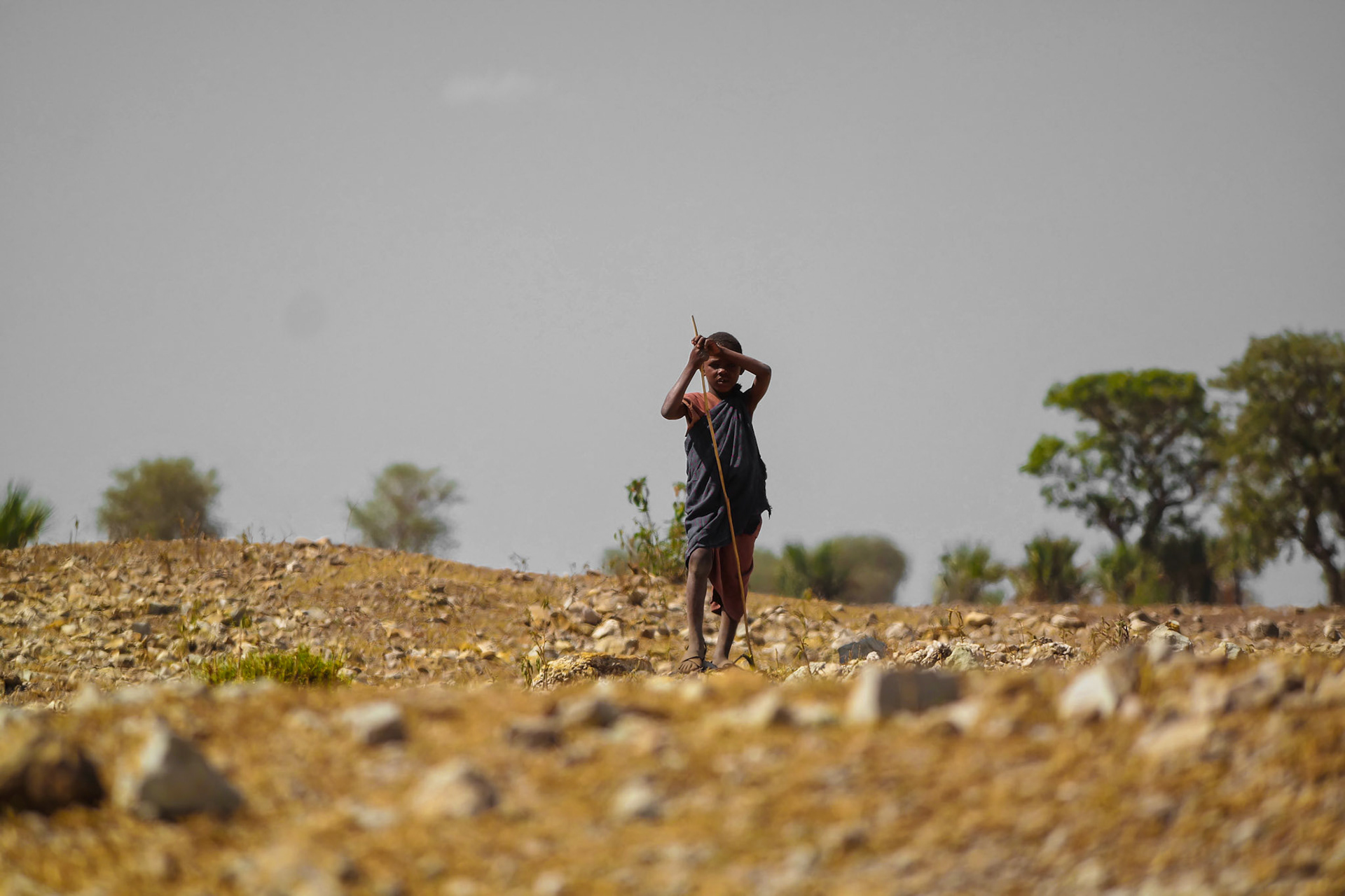 Tanzania Africa