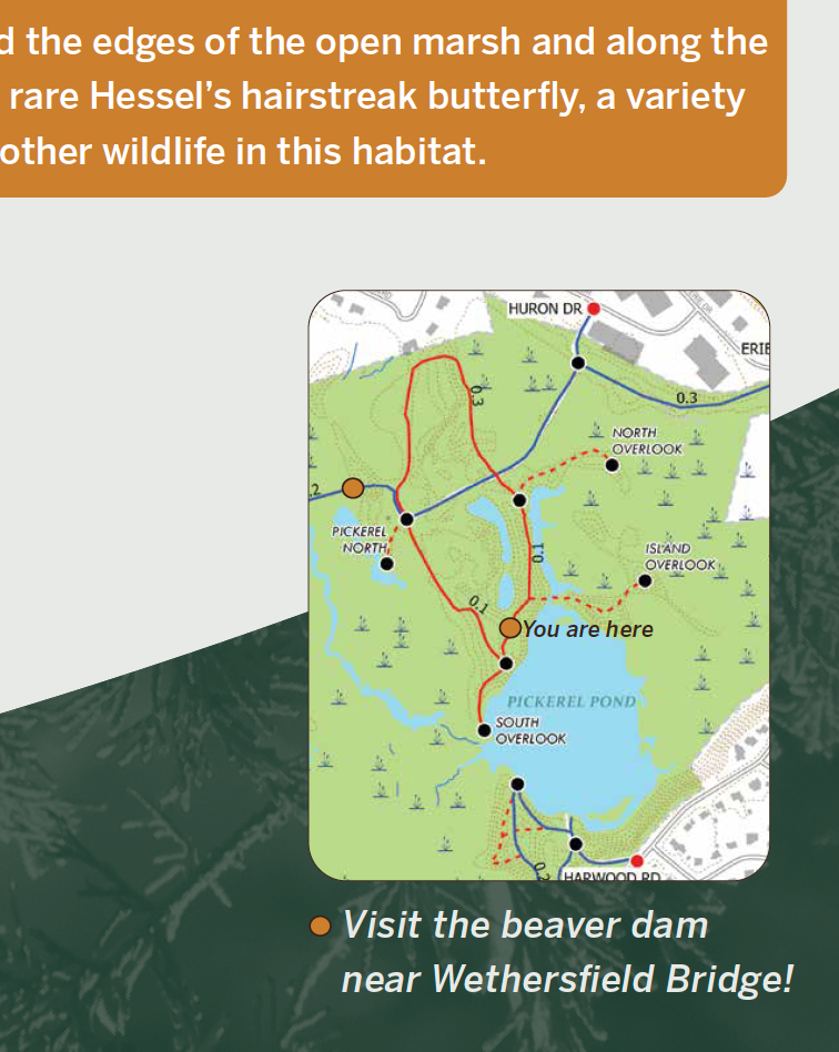 beaver lodge sign, detail 2