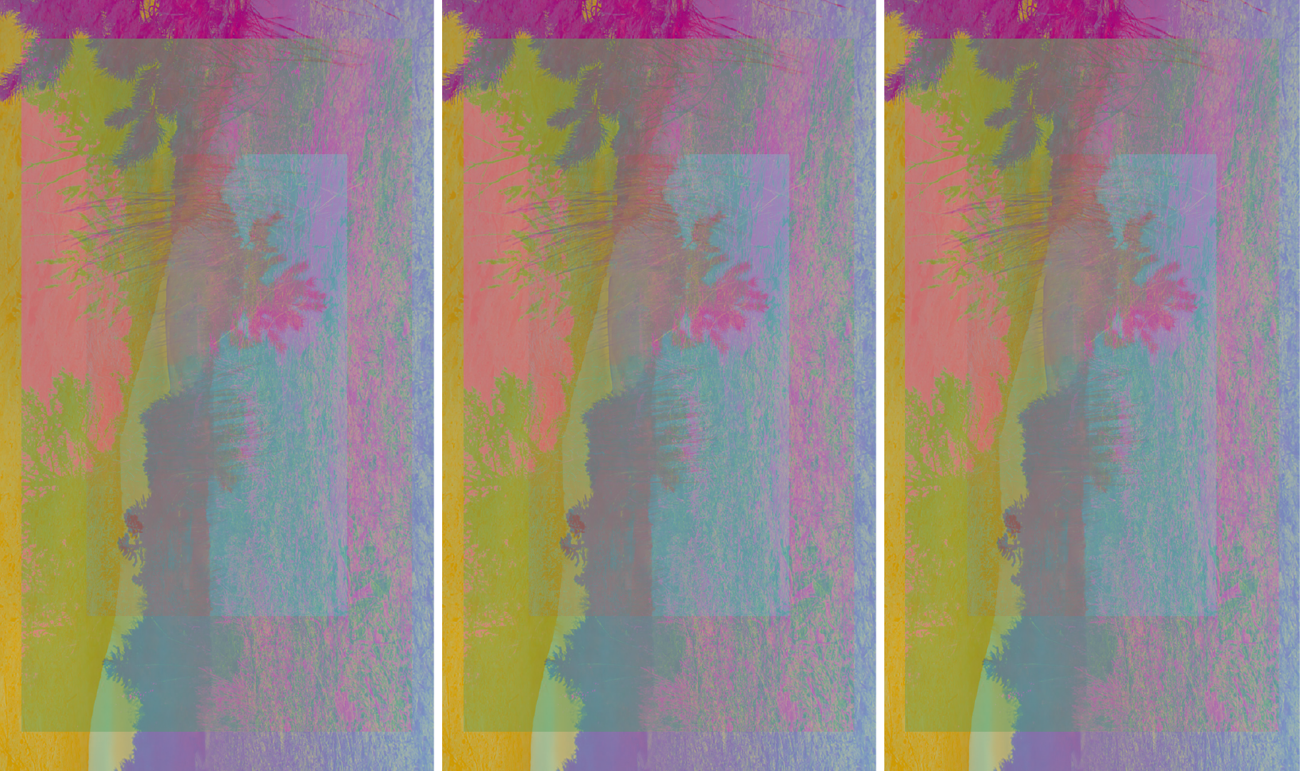 Stills from the Spotify Canvas video for "untitled_002."