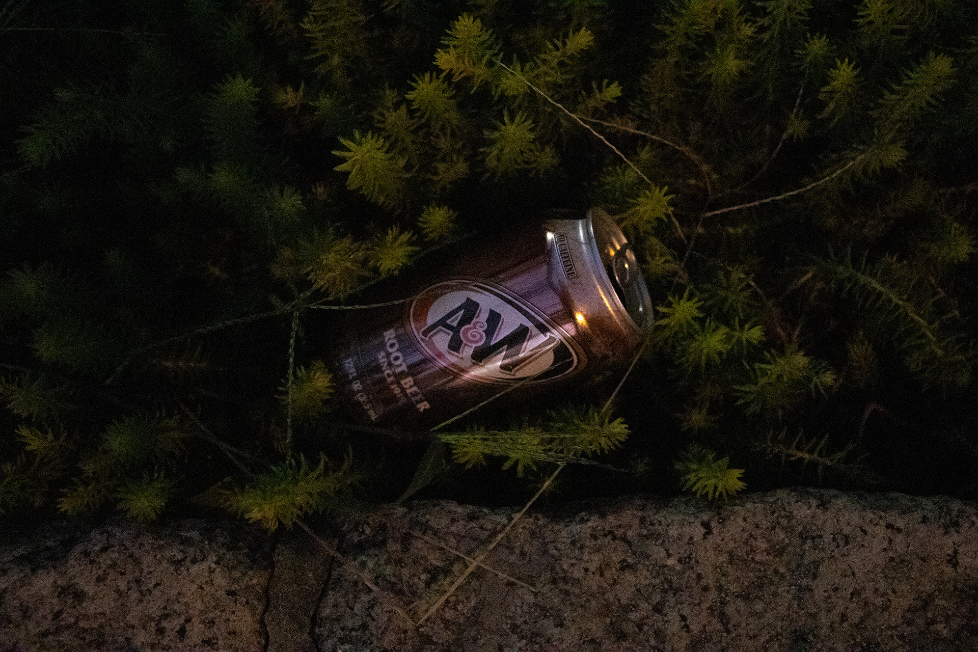 Trash - Untitled_1 - 2024