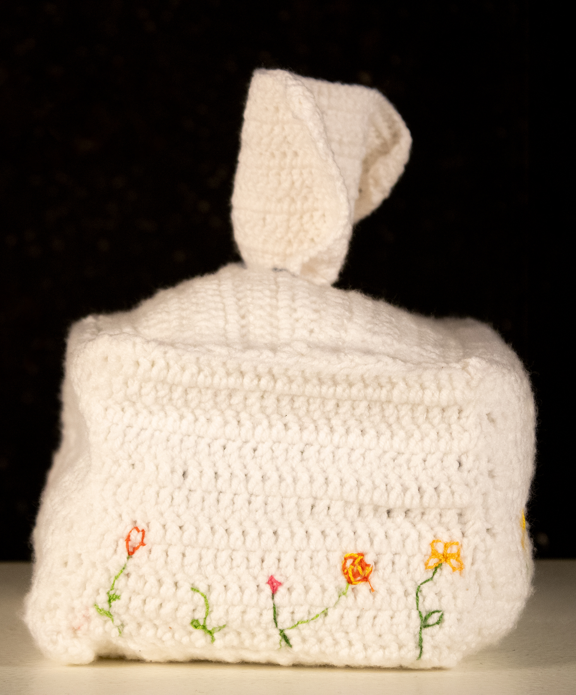 Crochet Tissue Box 1.1