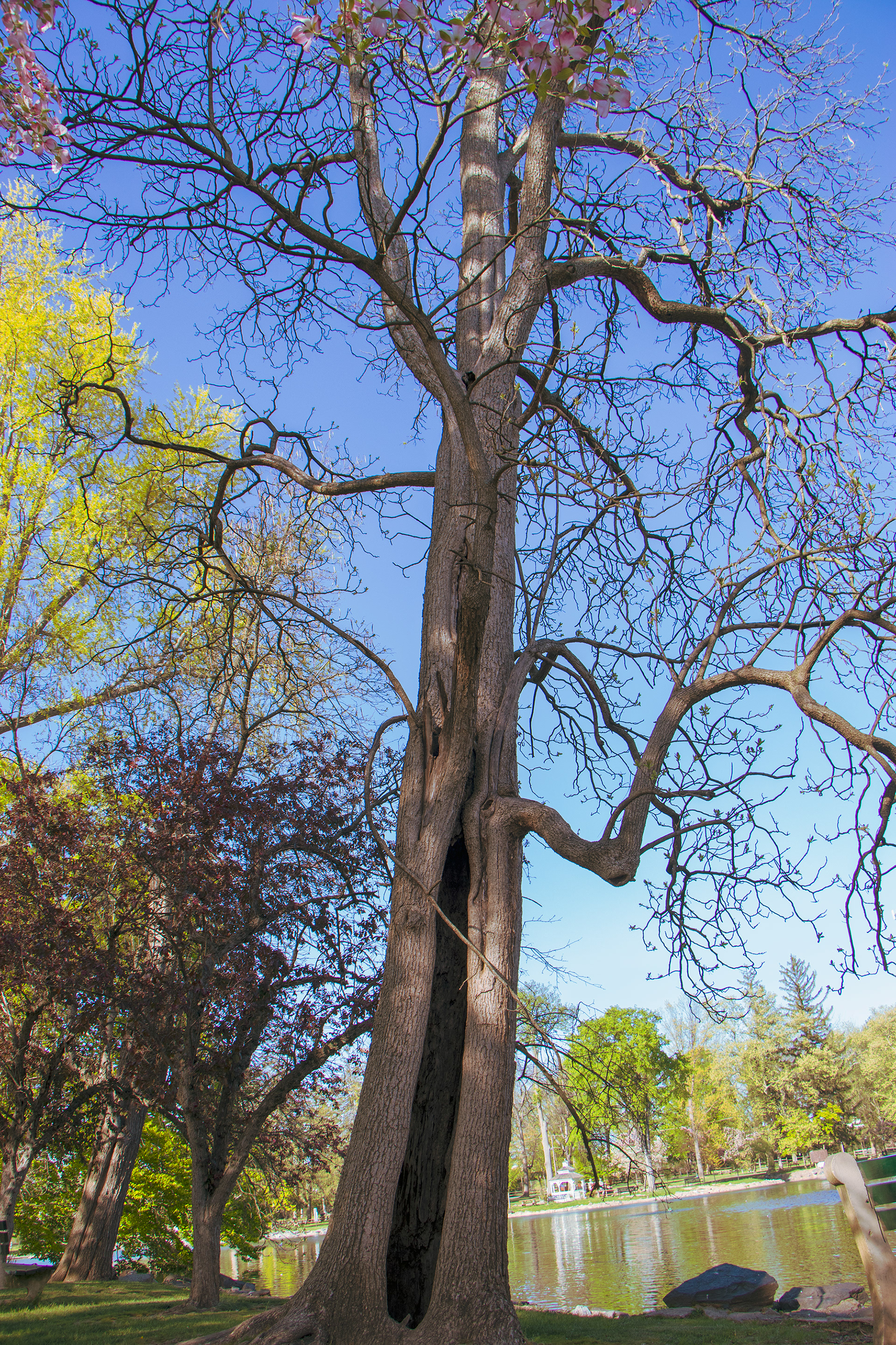 Untitled_1 - 4-2024 
