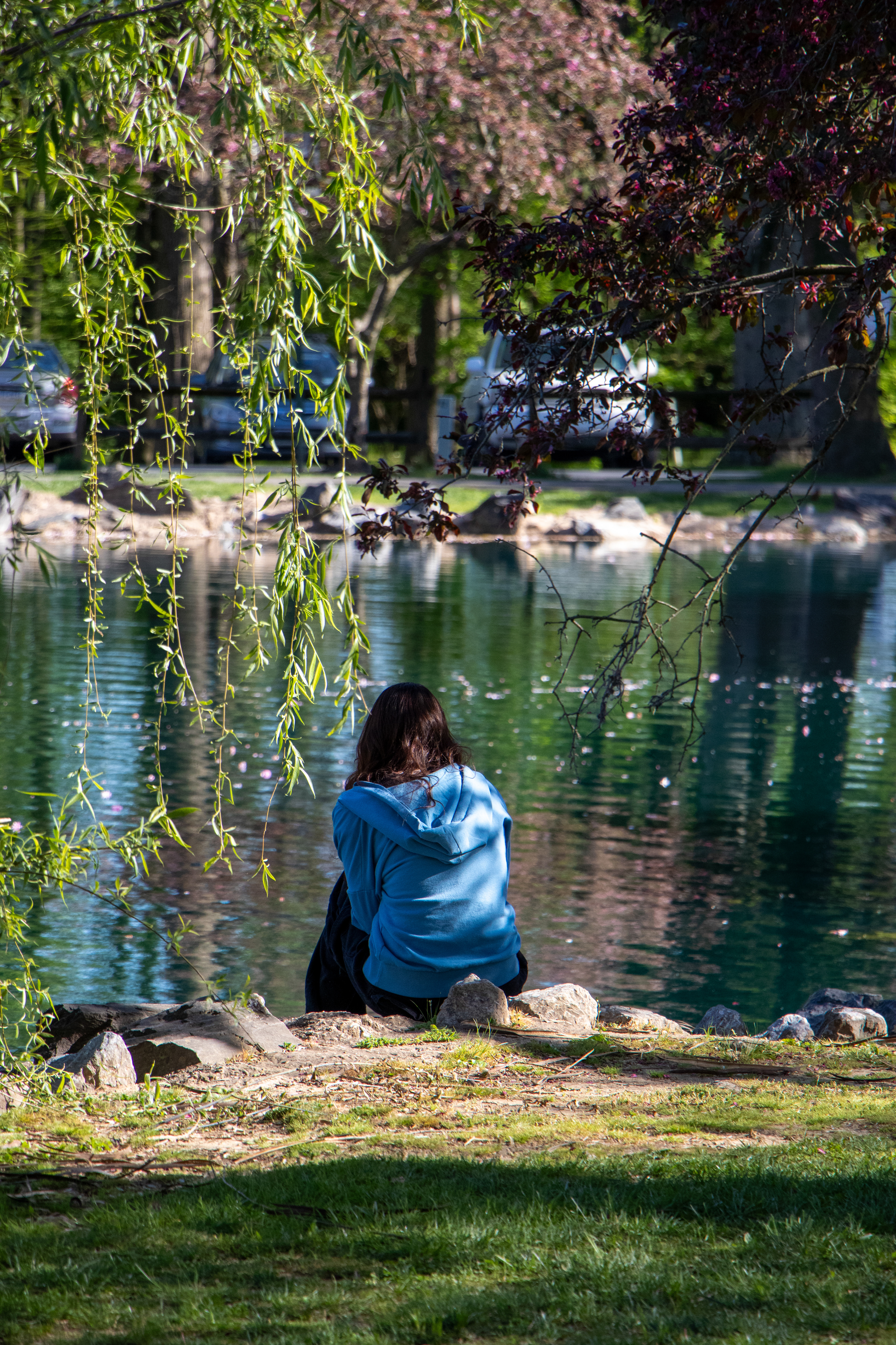Pondering near the Pond - 4-2024