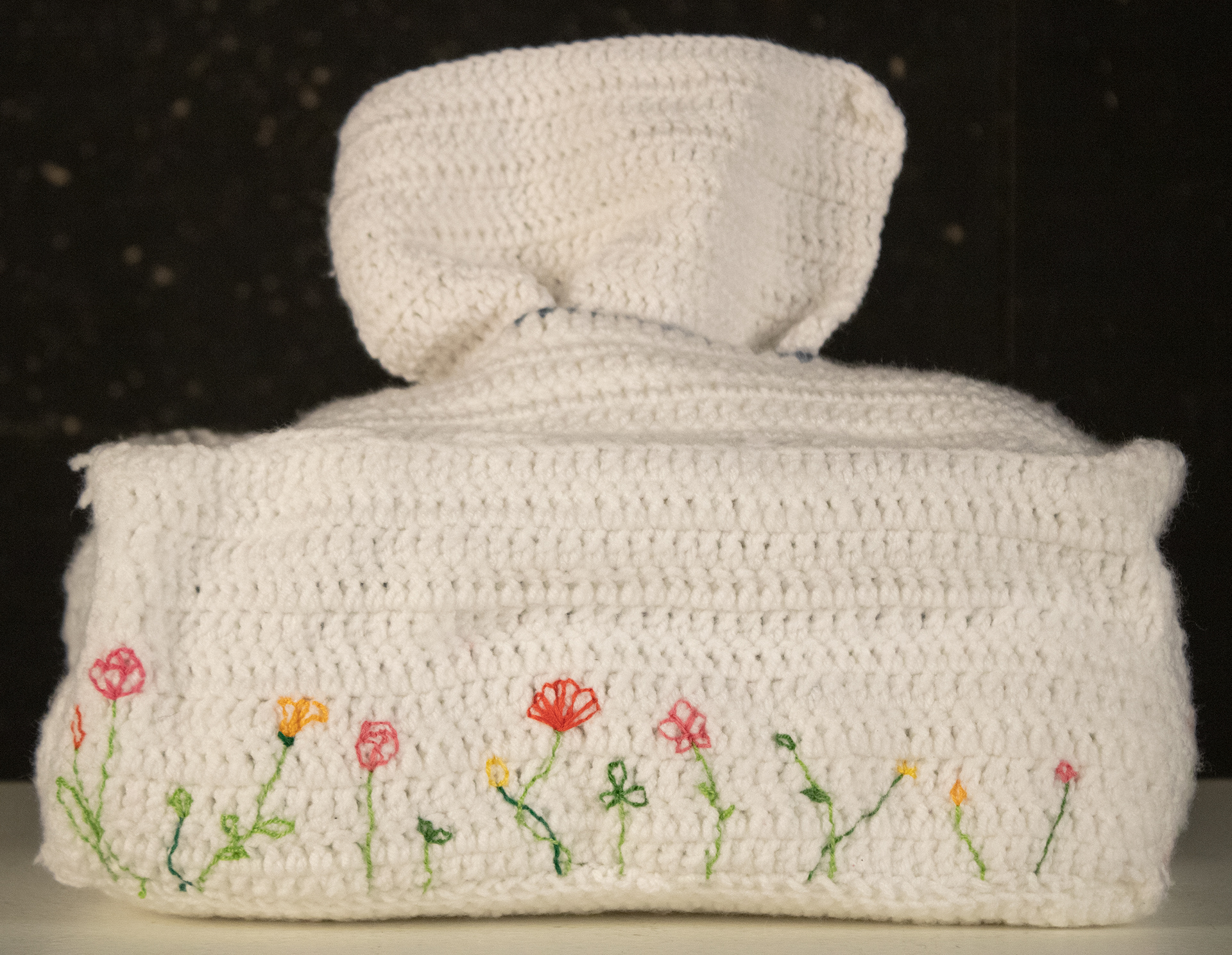 Crochet Tissue Box 1