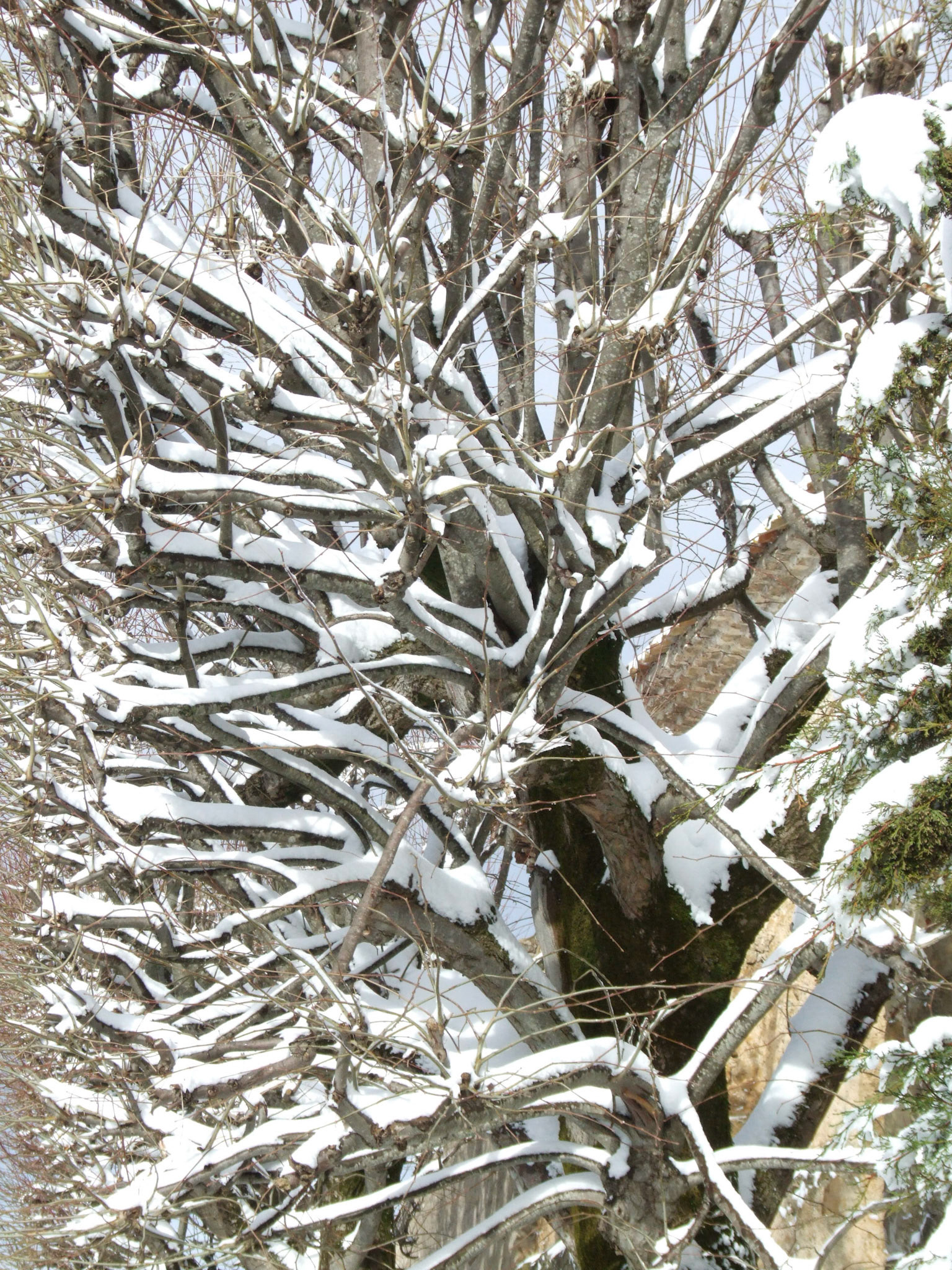 Roquefixade sous la neige de Fevrier