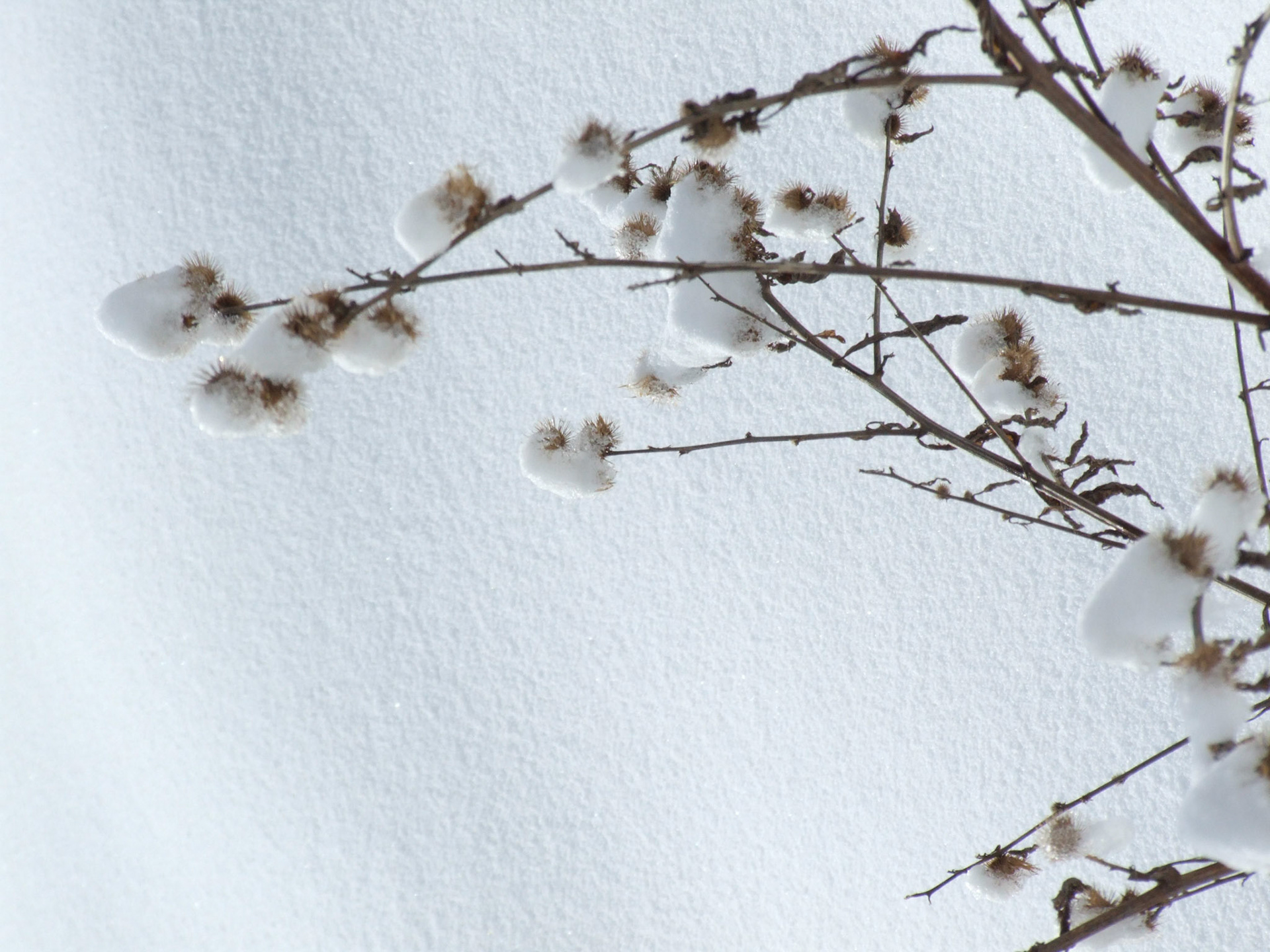 Roquefixade sous la neige de Fevrier