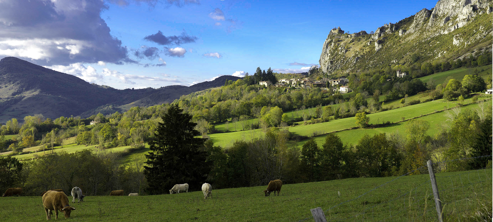 Prés et bocage.