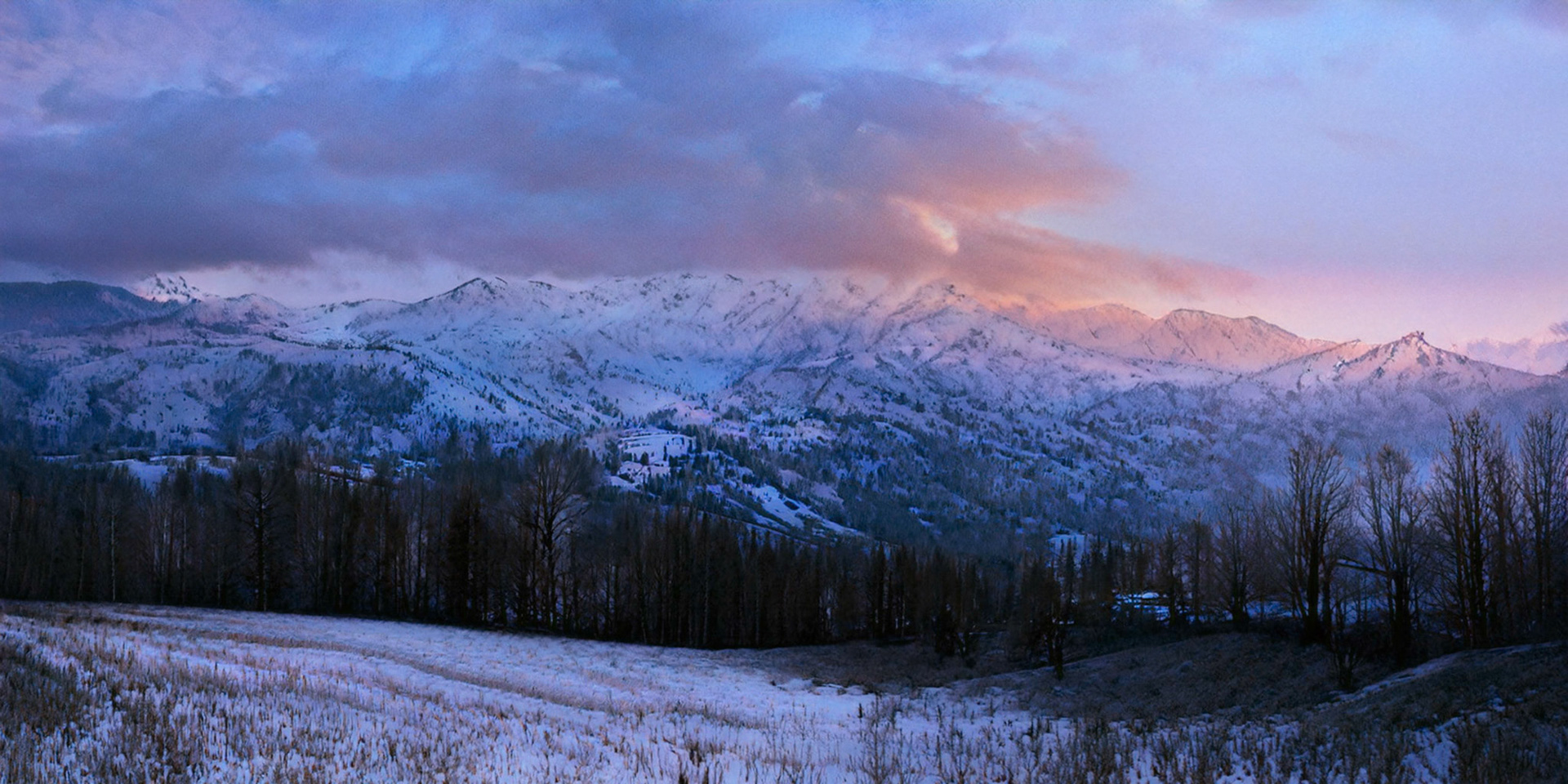 Couchant de neige.