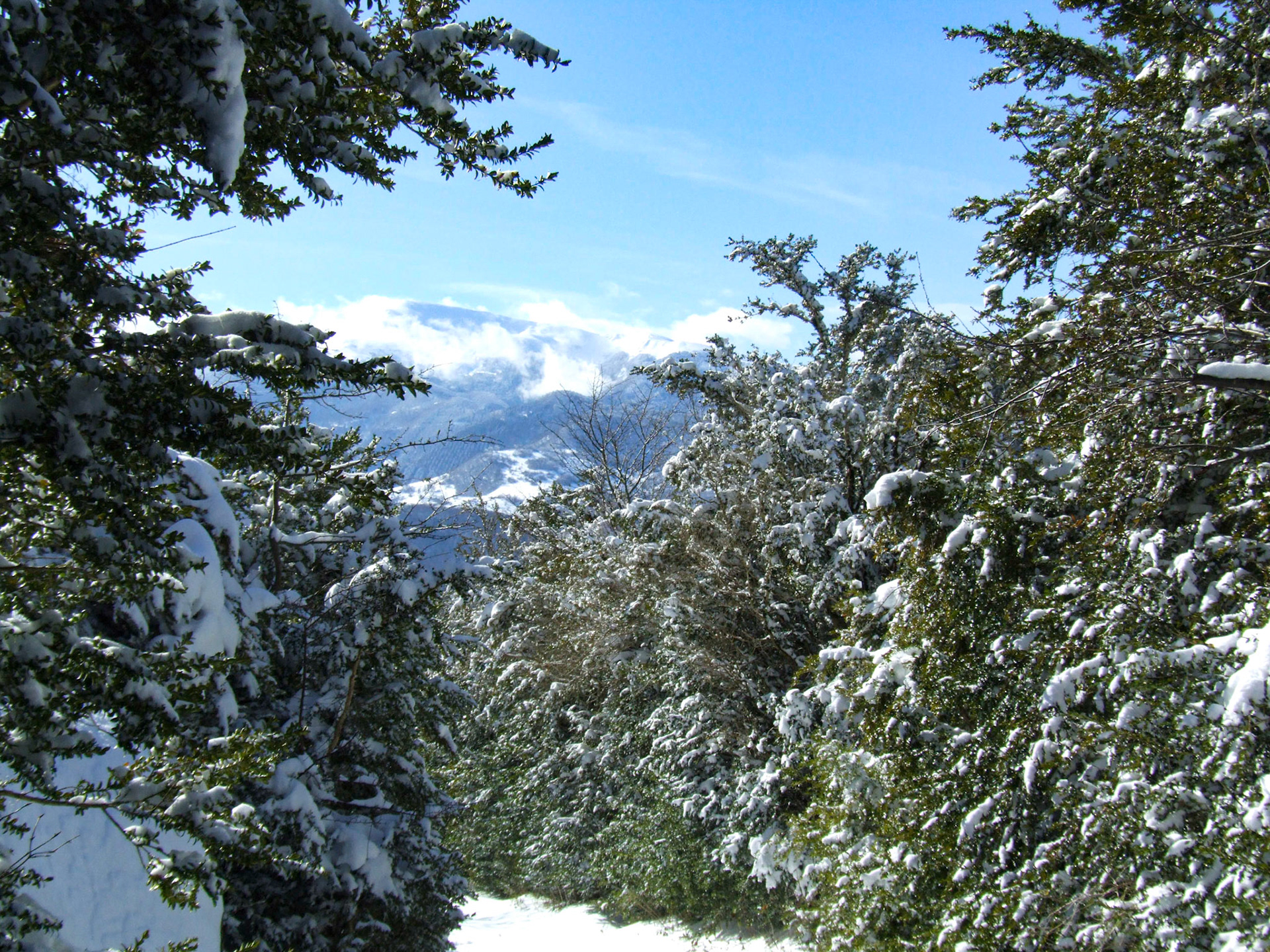 Roquefixade sous la neige de Fevrier