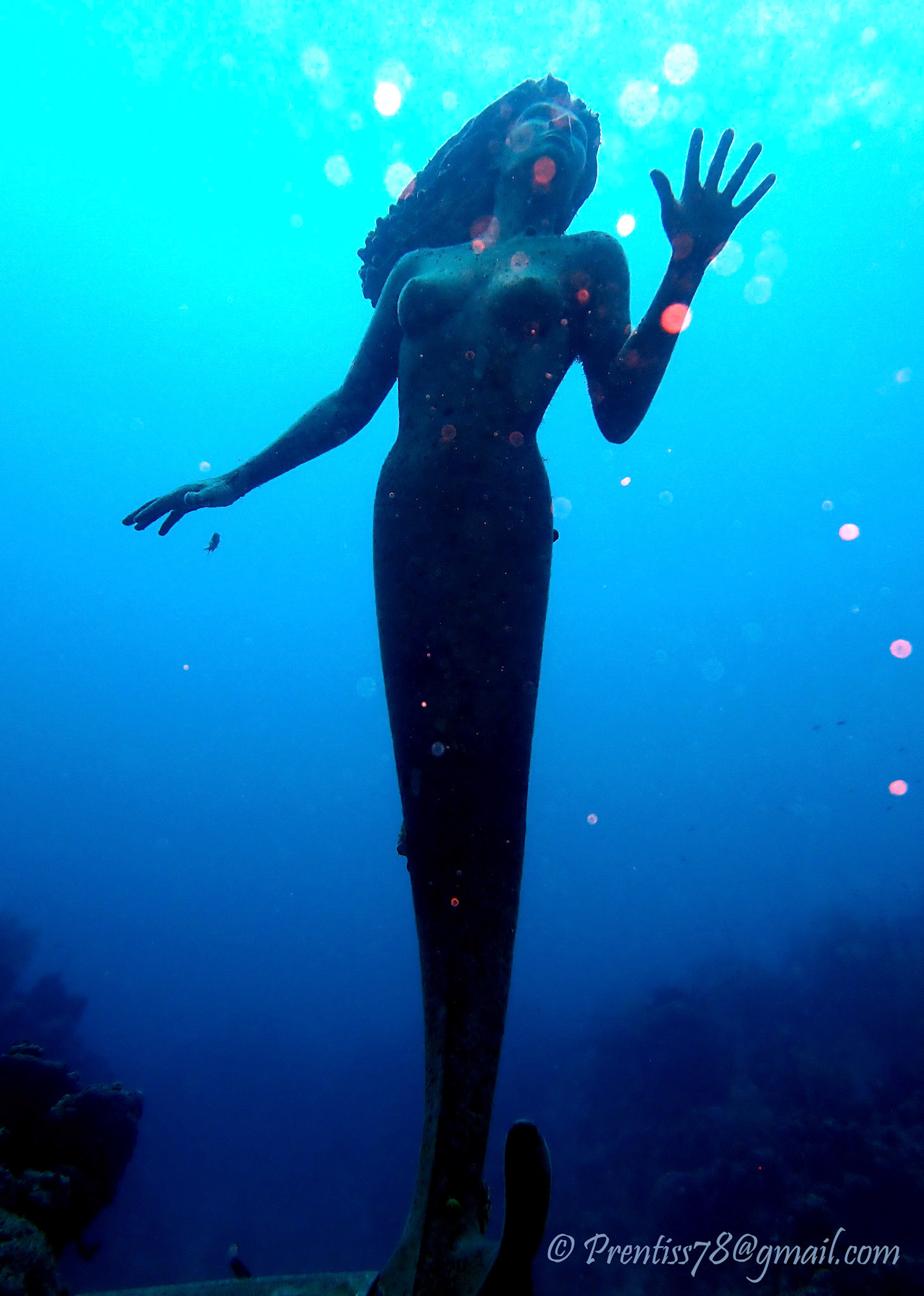 Sunset House Mermaid