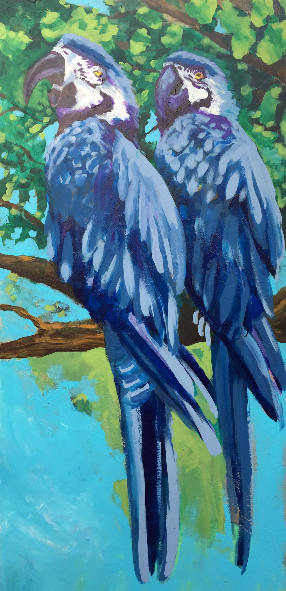 Blue Parrots
