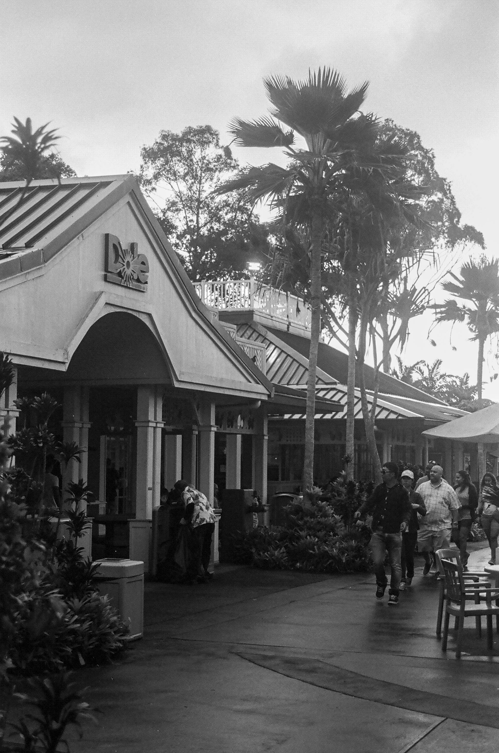 Hawaii - ILFORD Delta 400
