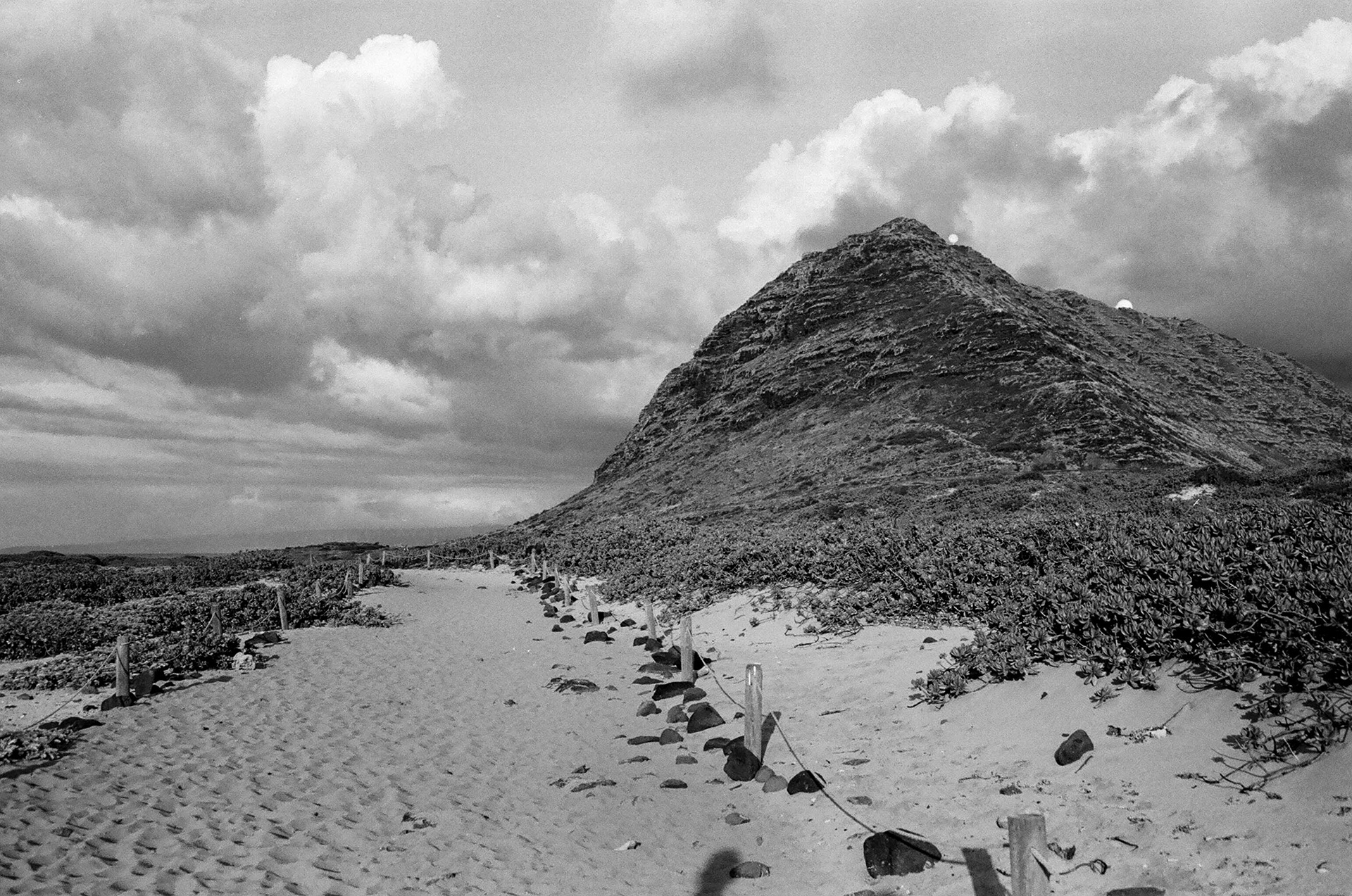 Hawaii - ILFORD Delta 400