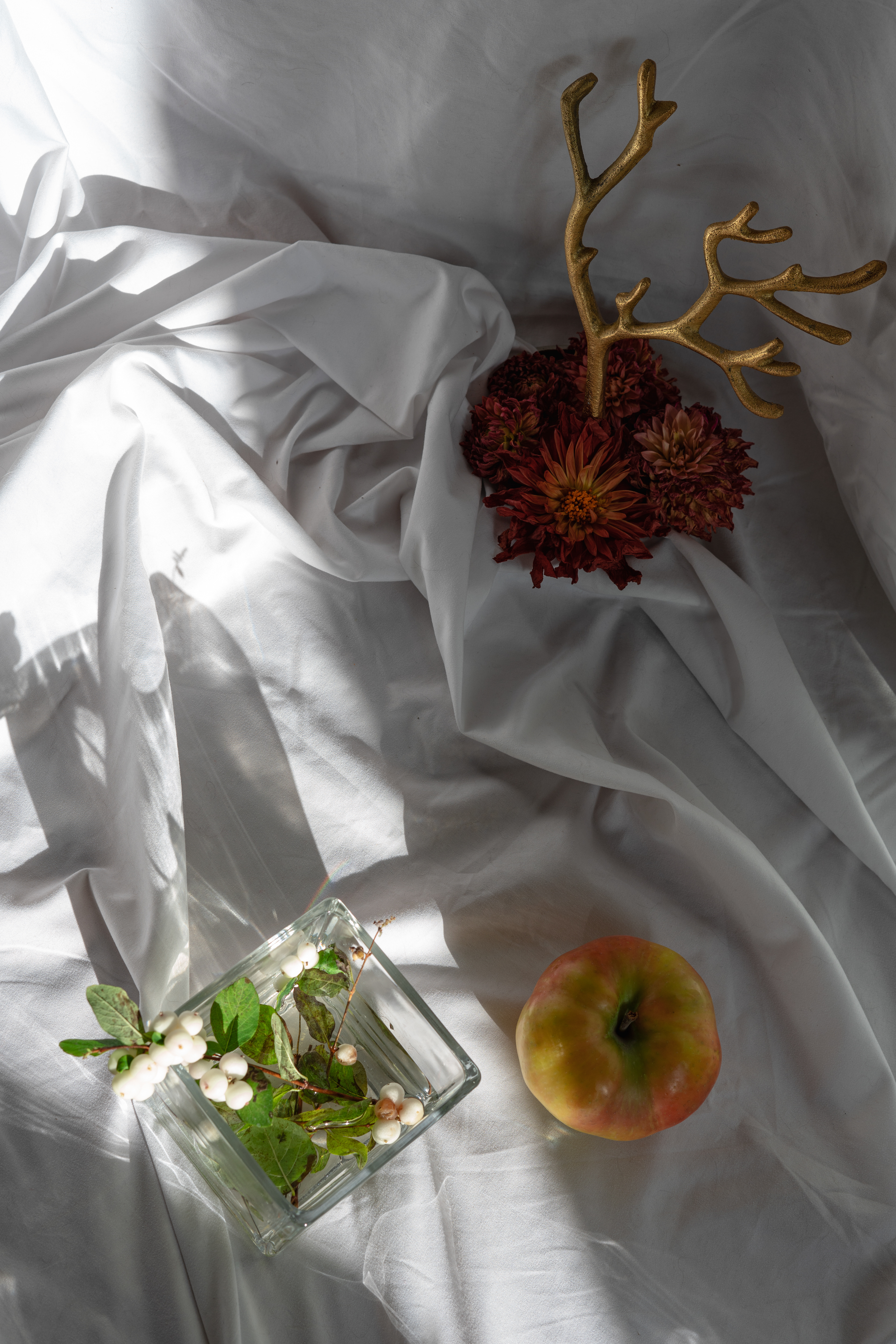 It was never an apple...