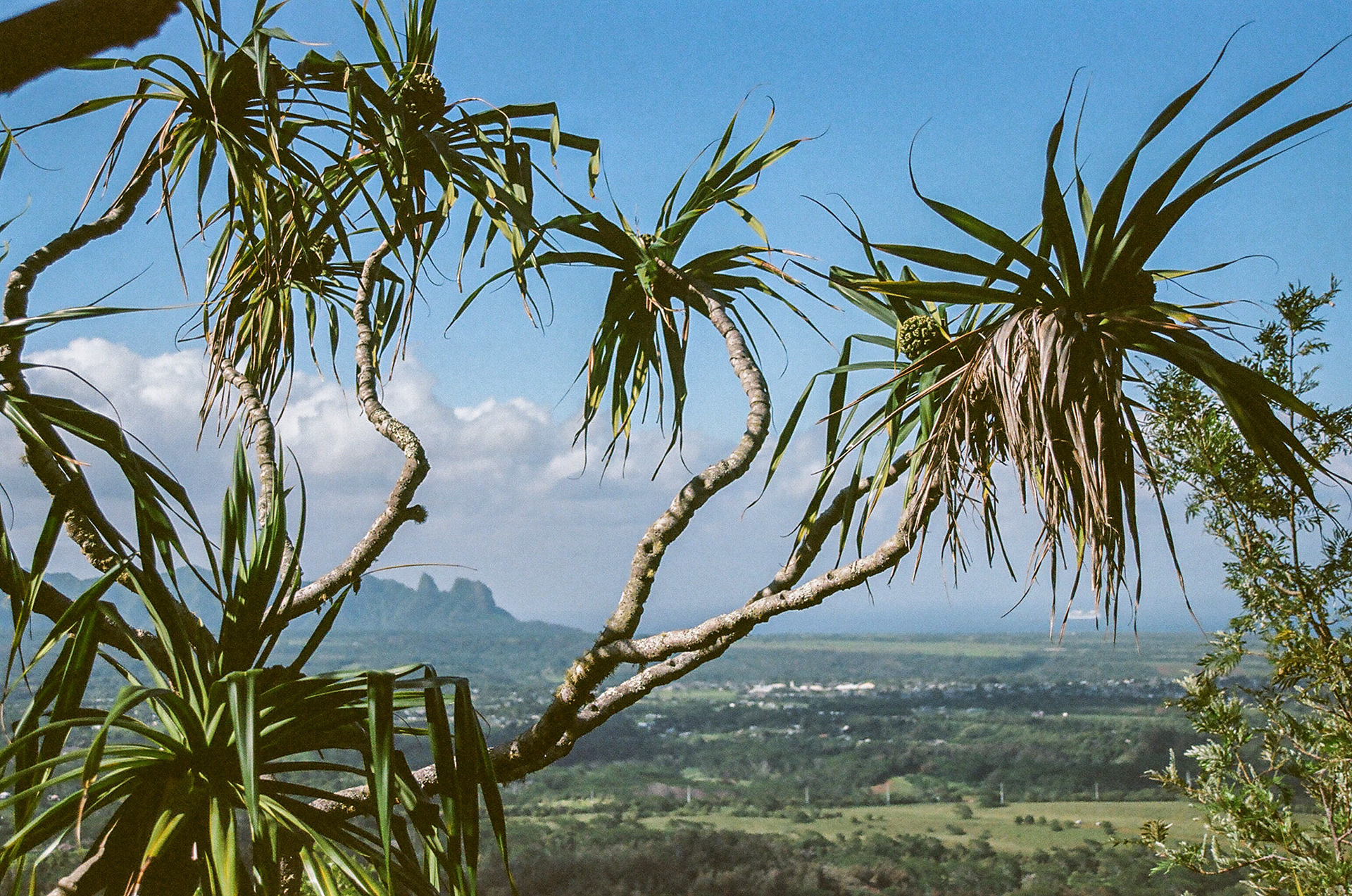 Kauai - Kodak Portra 160