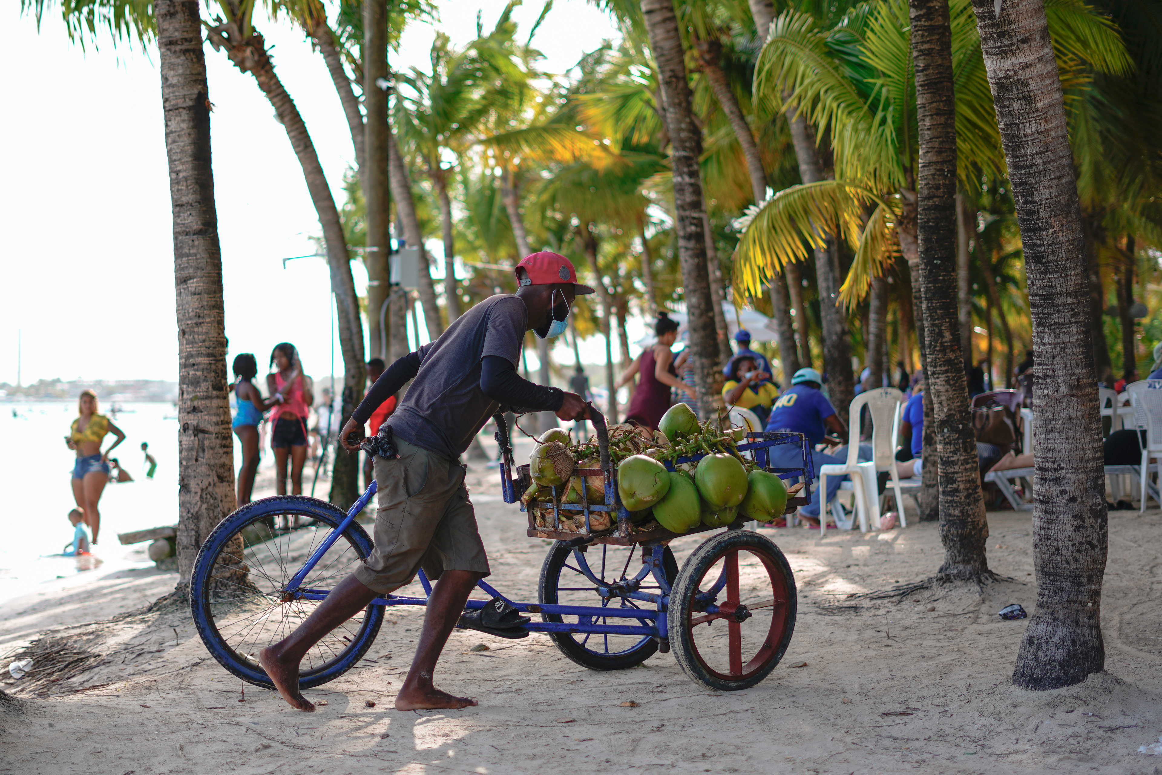 Coconut vendor