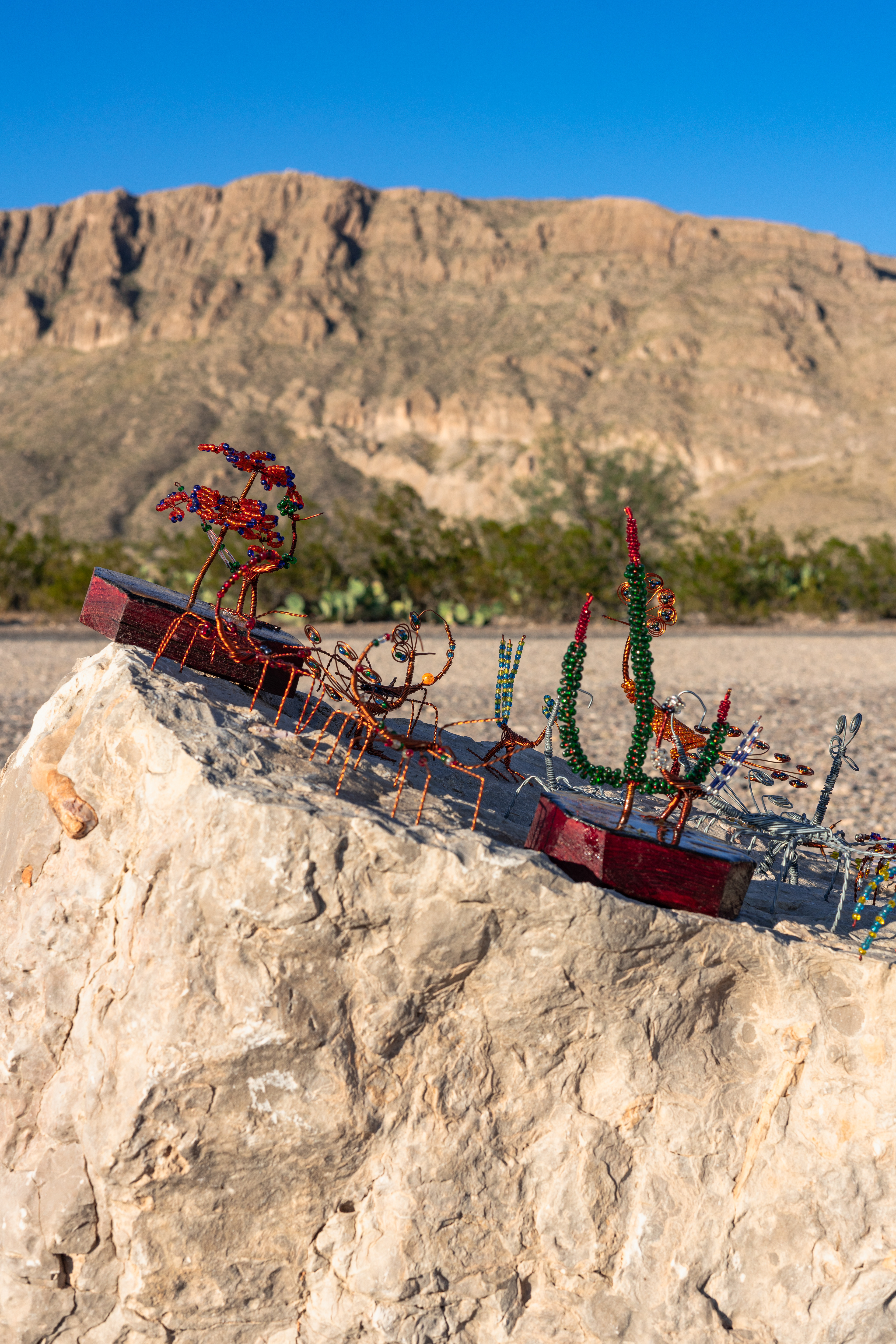 Boquillas del Carmen