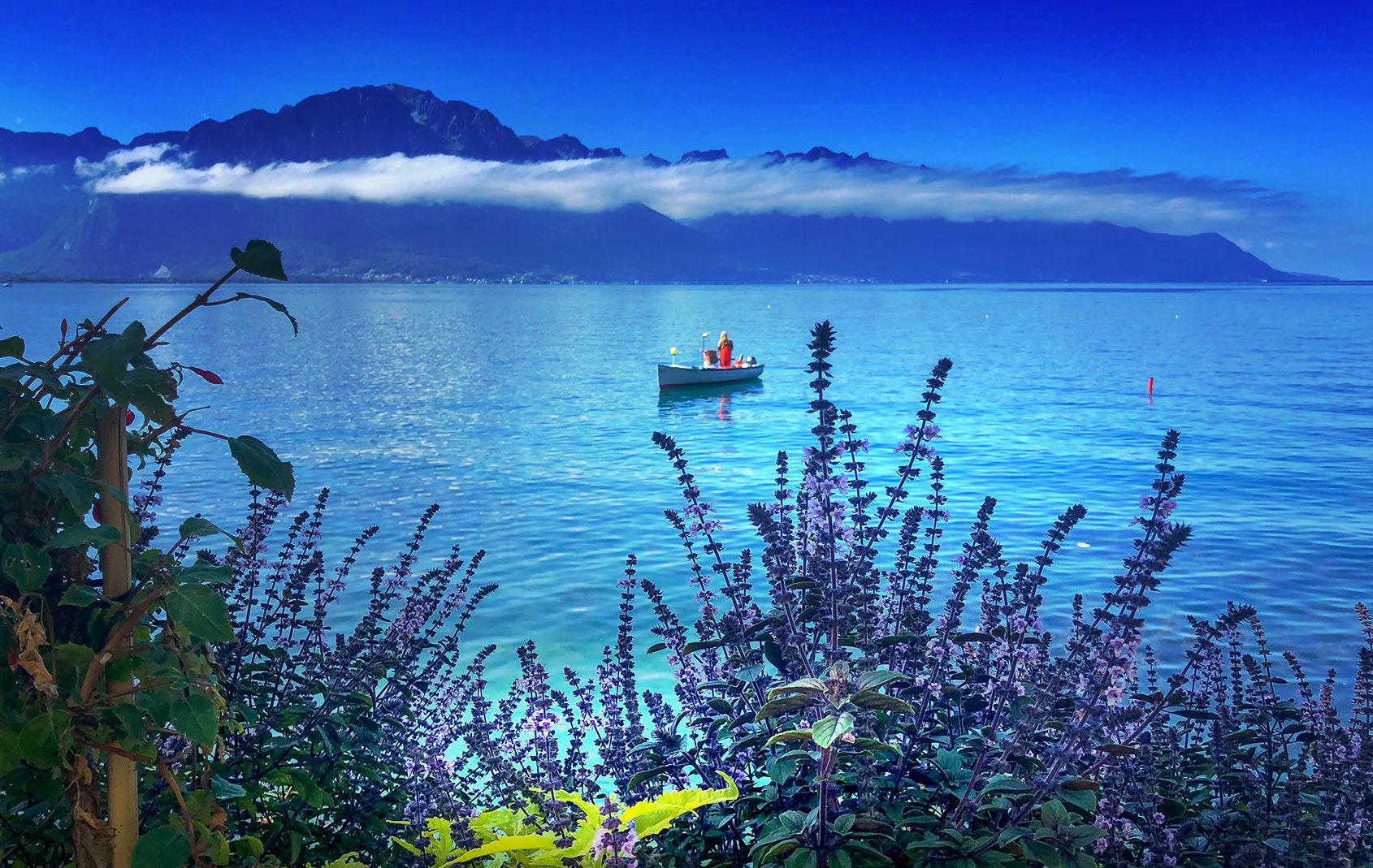 Montreux 