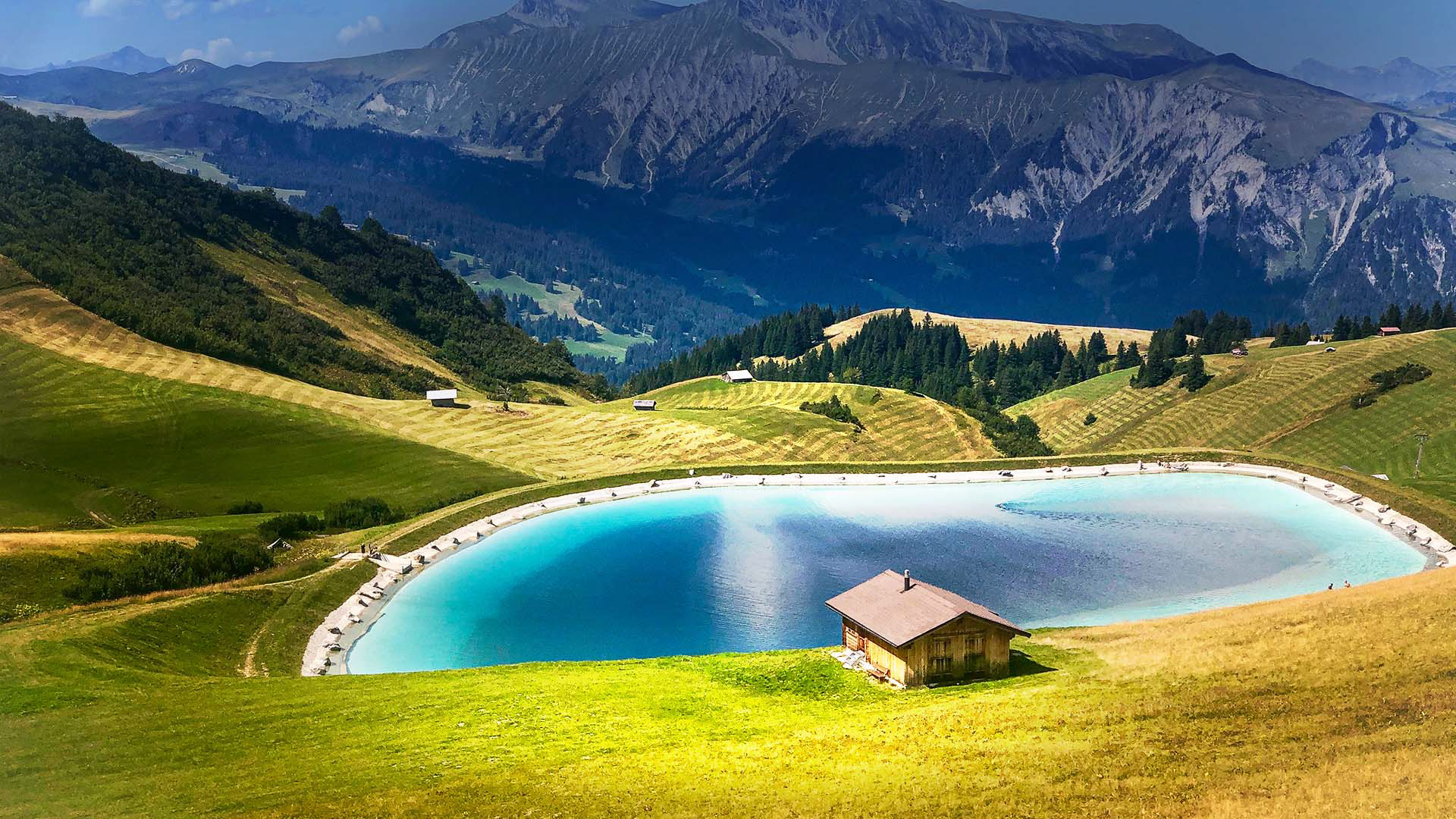 Lenk