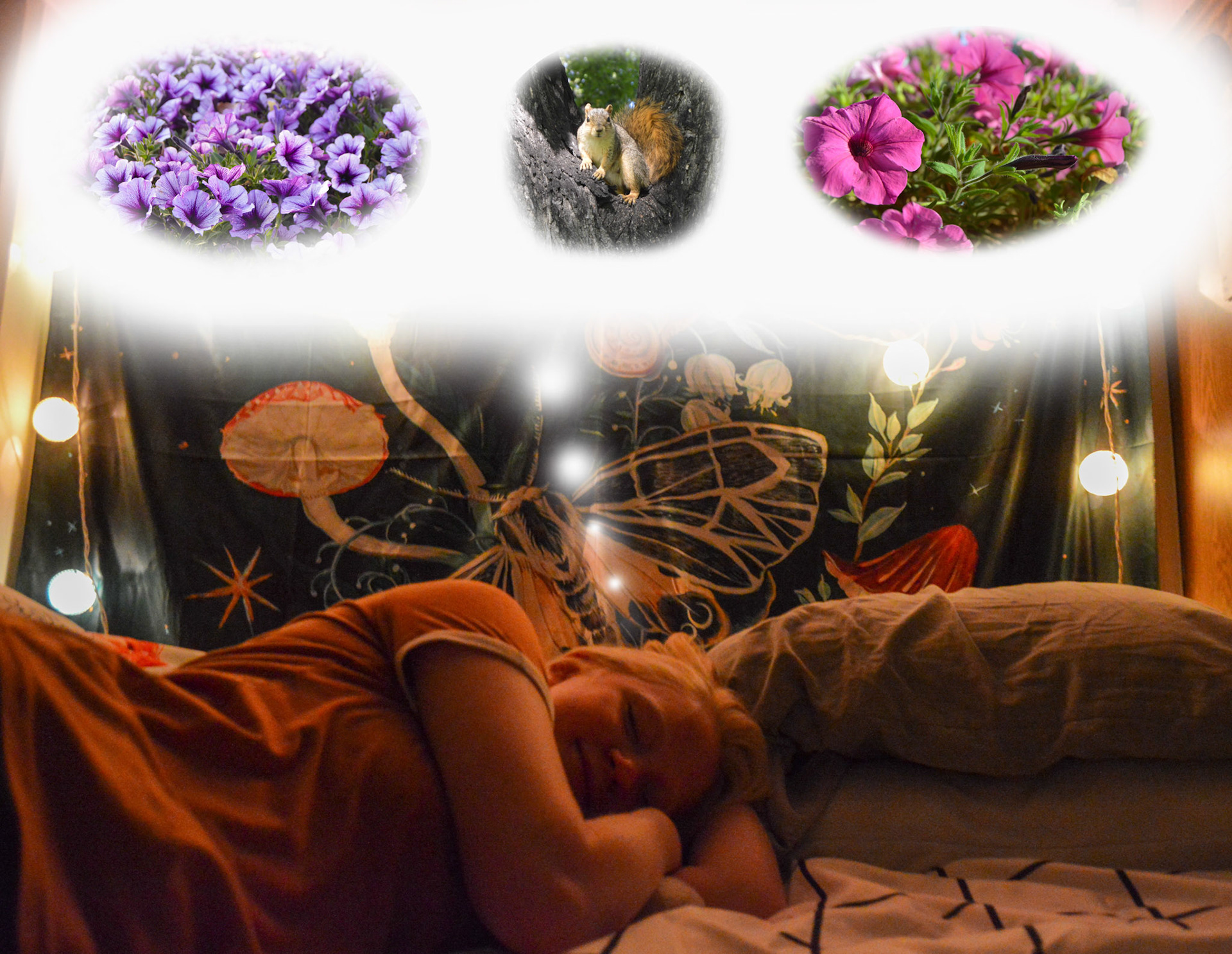 Darby Voorhees dreams about what gives her inspiration. 