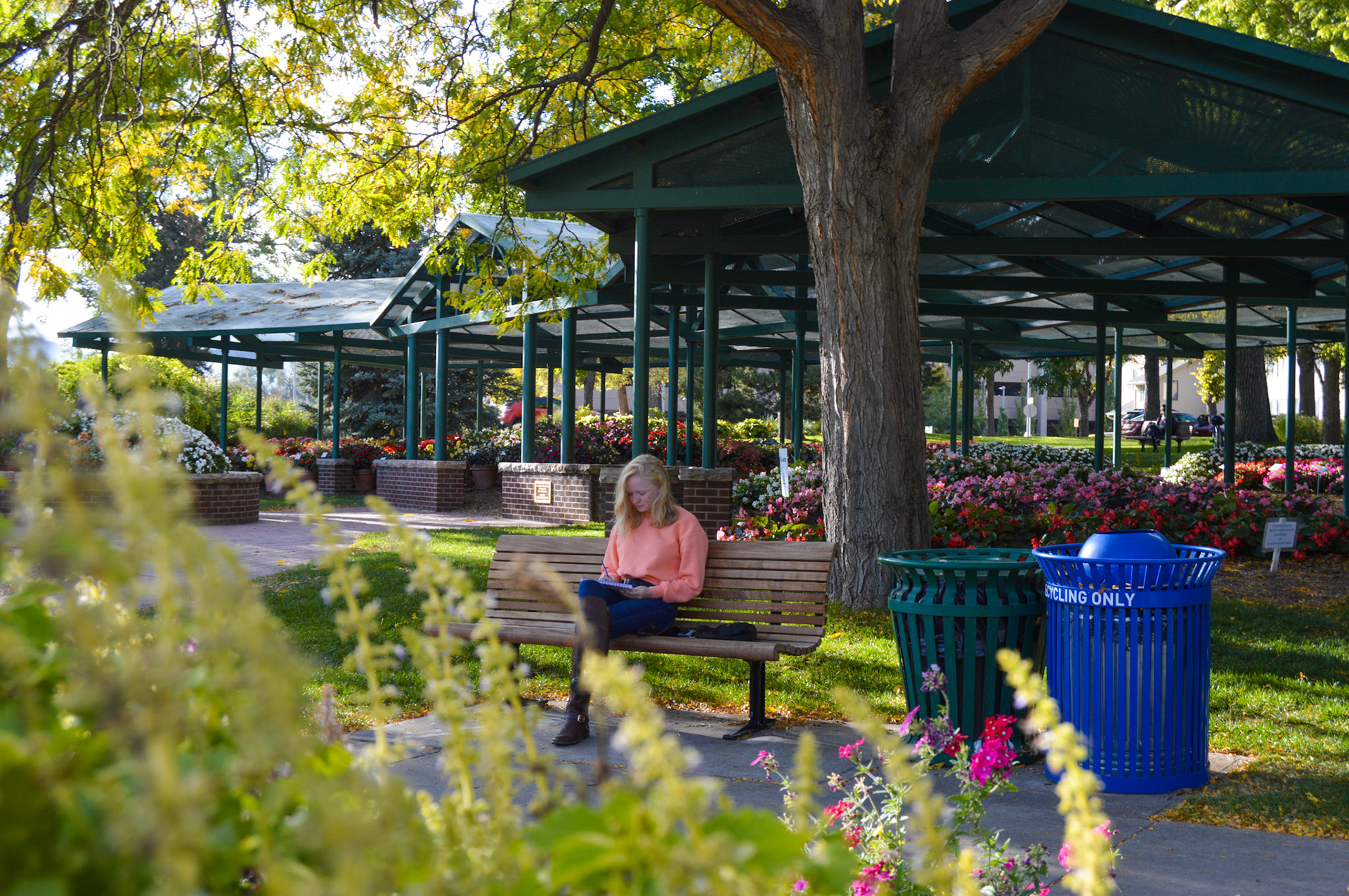 Darby sits at a bench drawing the flowers around her.