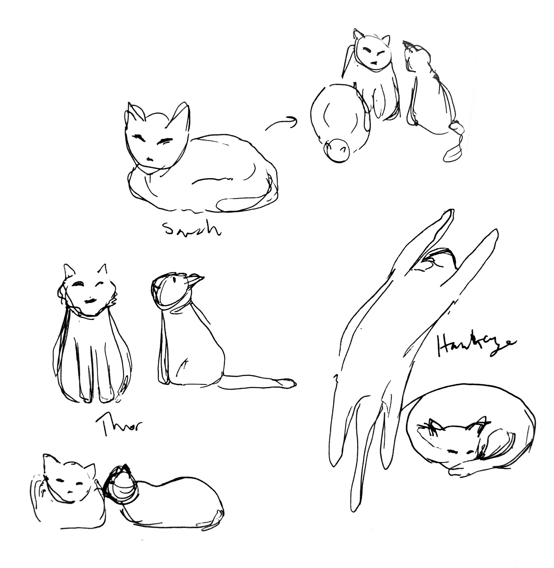 Cats