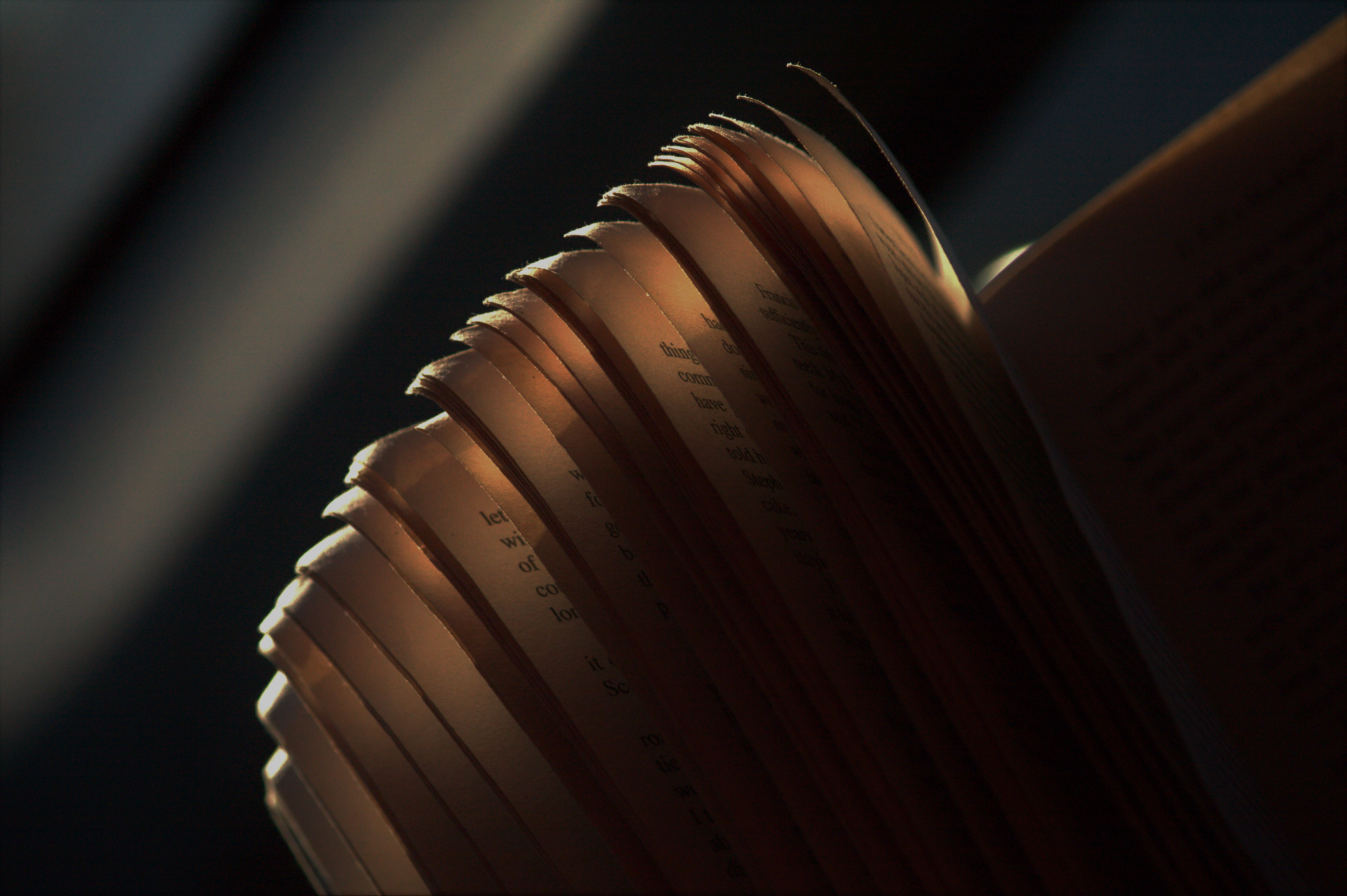 Paper Armadillo - (Gold Key)