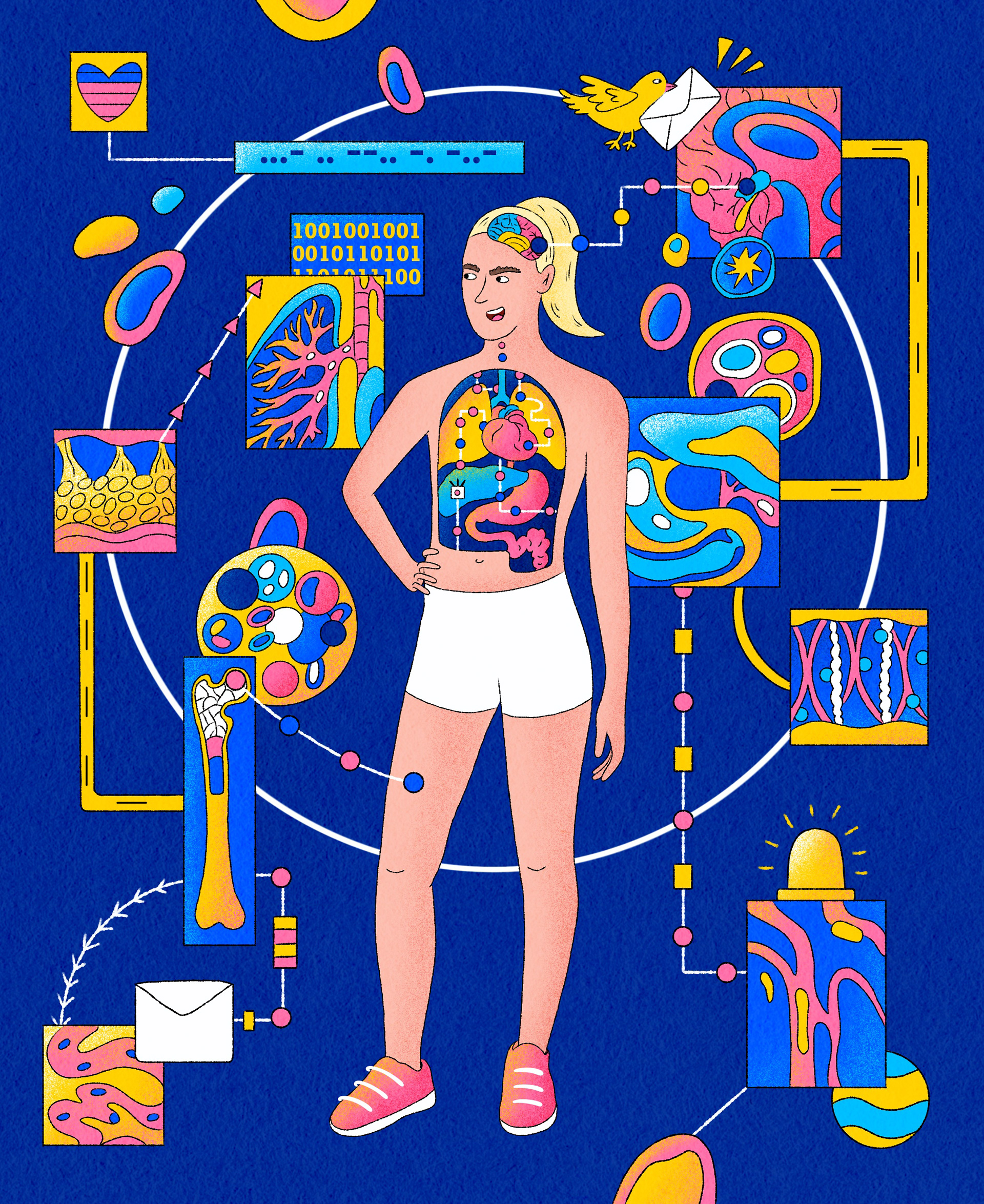 How internal organs communicate with each other to heal us 