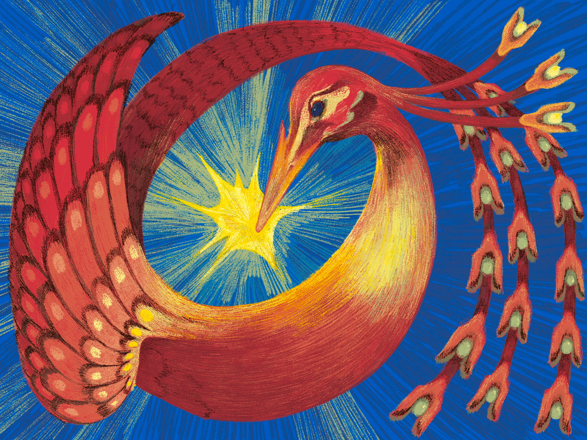 "Bird of Light" Procreate, 2025