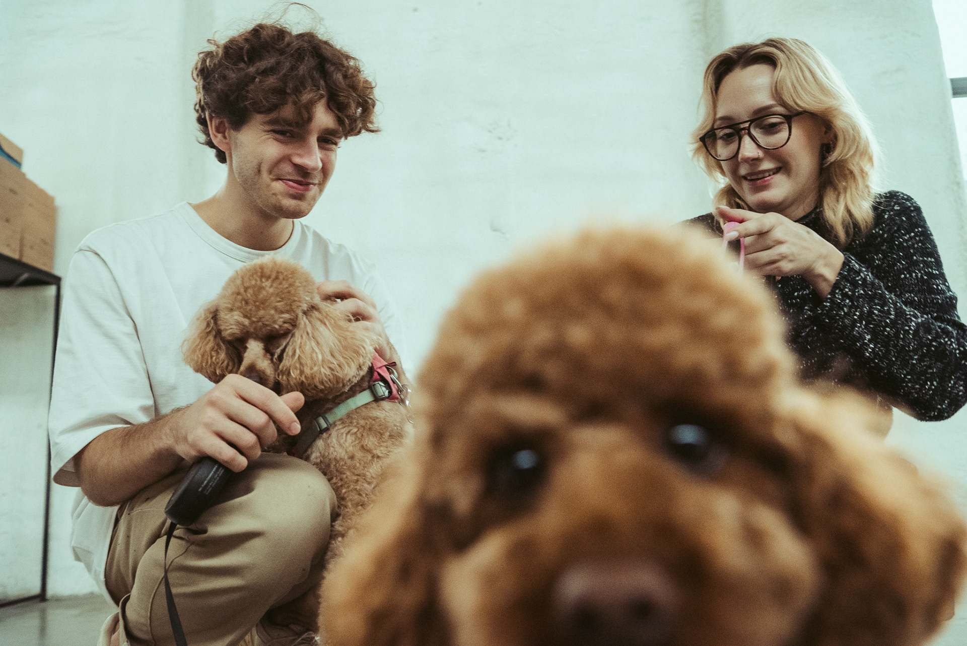 author - Dominykas Ugnius