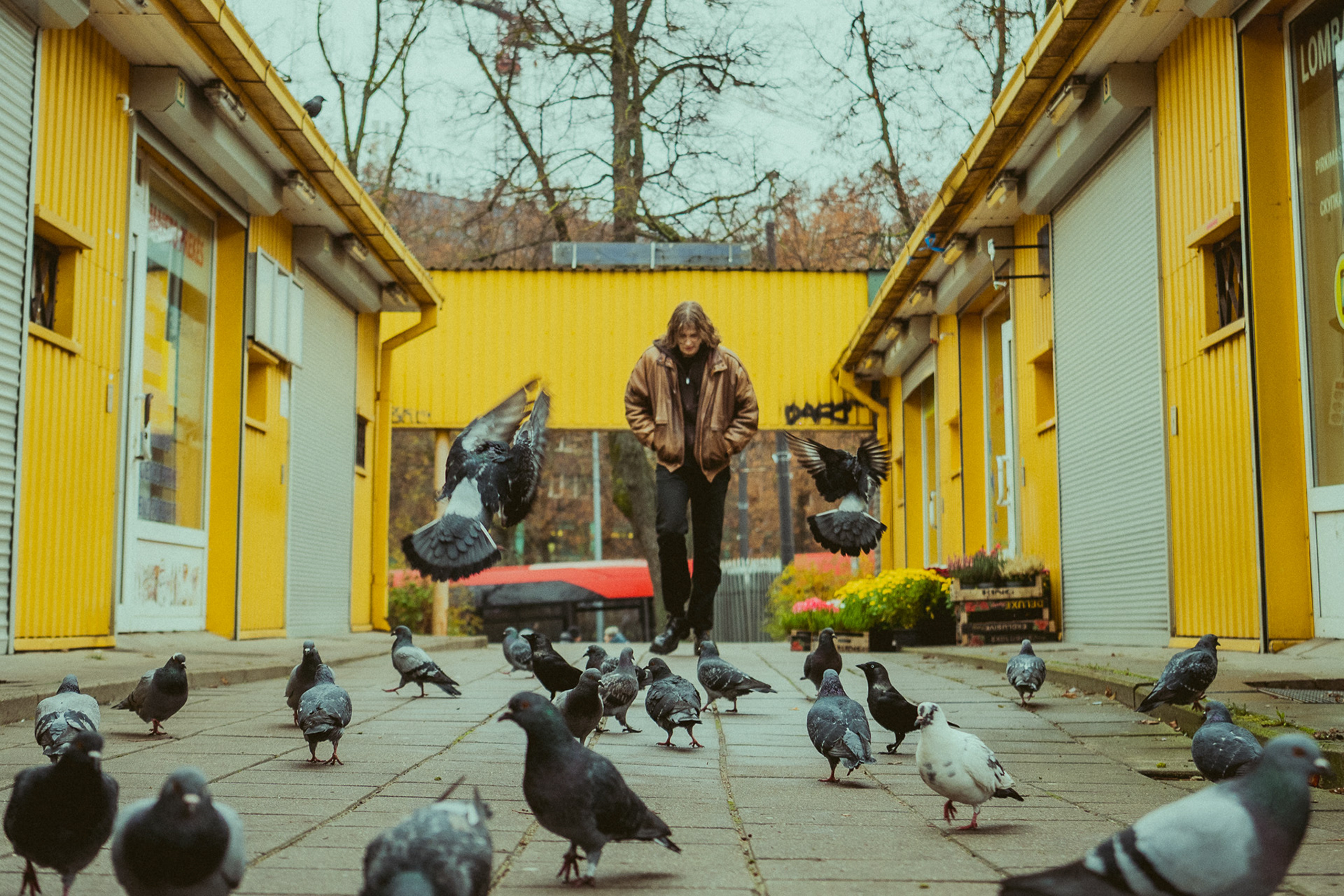 author - Dominykas Ugnius