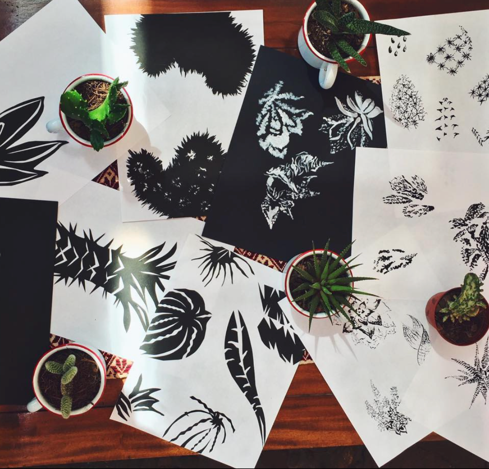 2. Cactus illustration for screen printed poster.