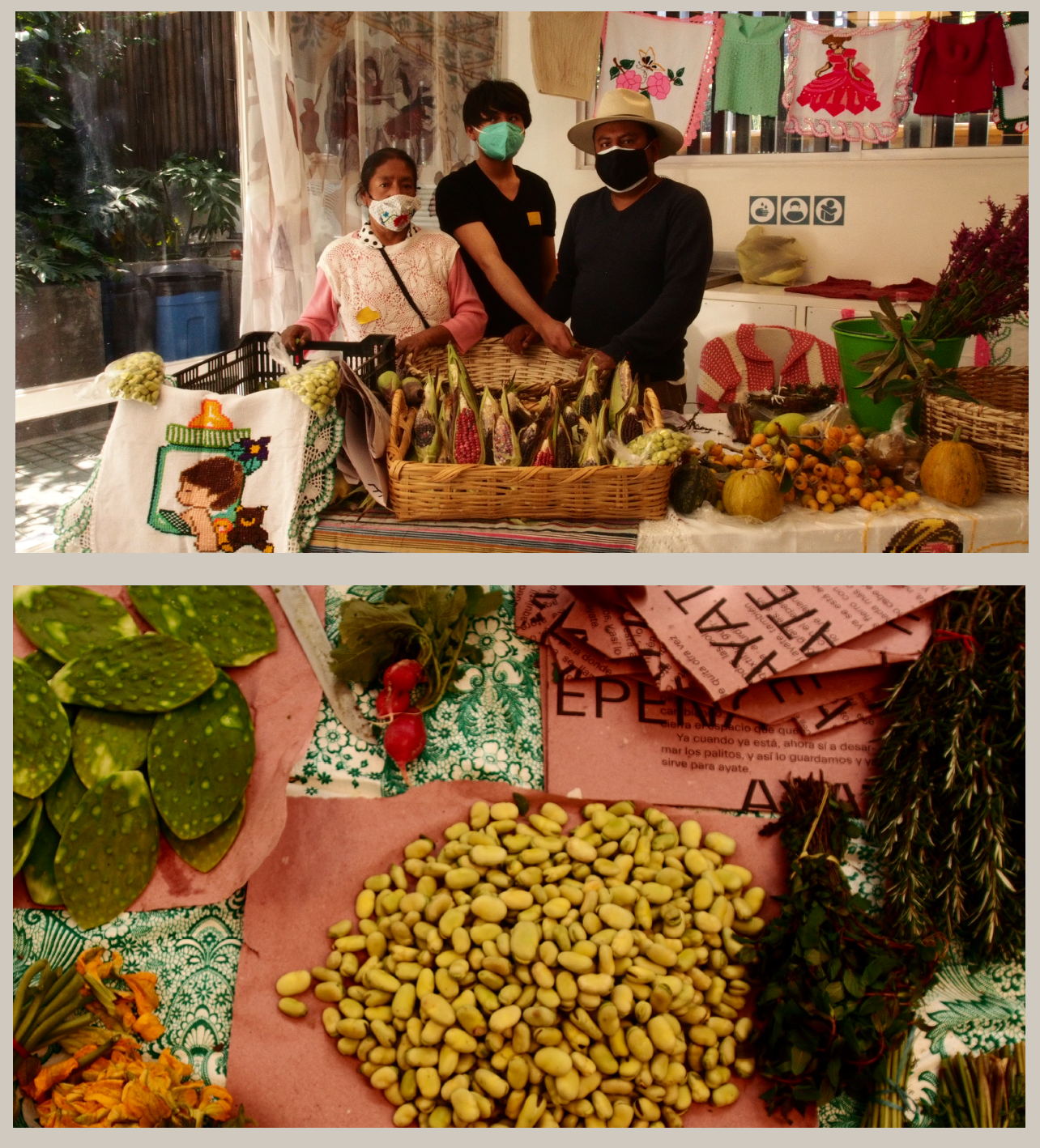 5. Echar Montón. Poster/tortilla wraps for the installation of an indigenous producer vegetable market at Museo Carrillo Gil. Collaboration with Colectivo Amasijo.