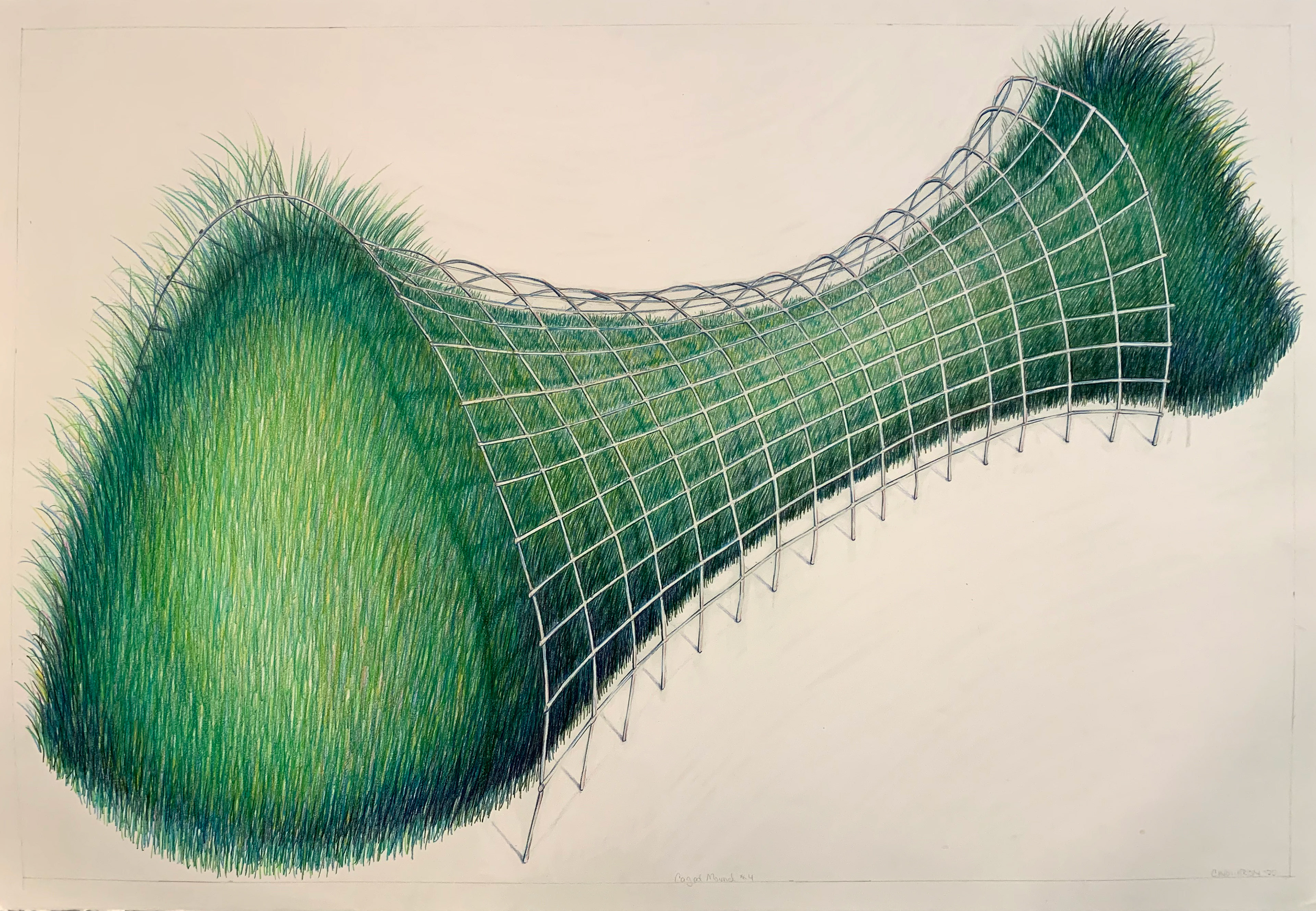 Caged Mound 4