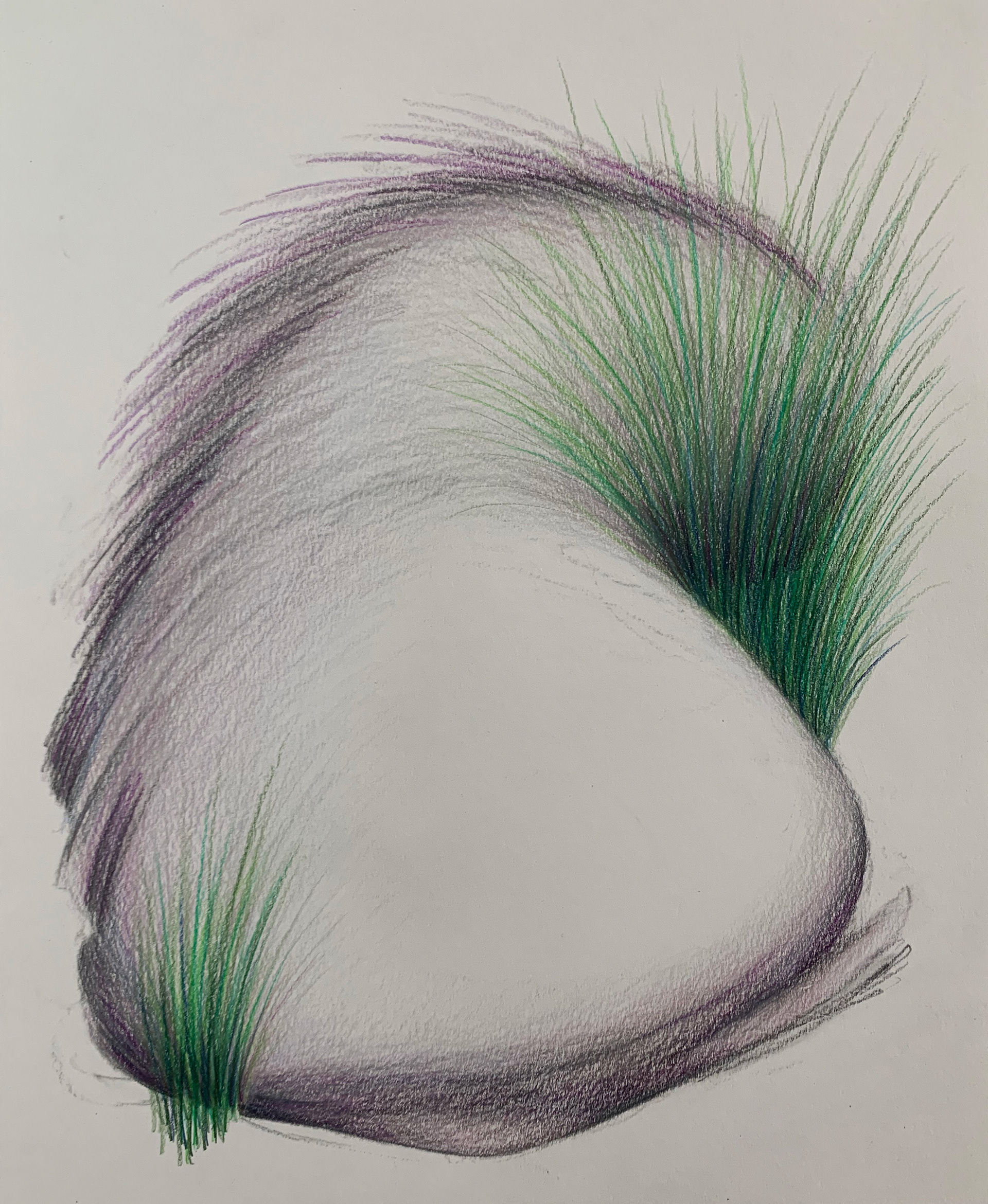 Stone Grass Study 1