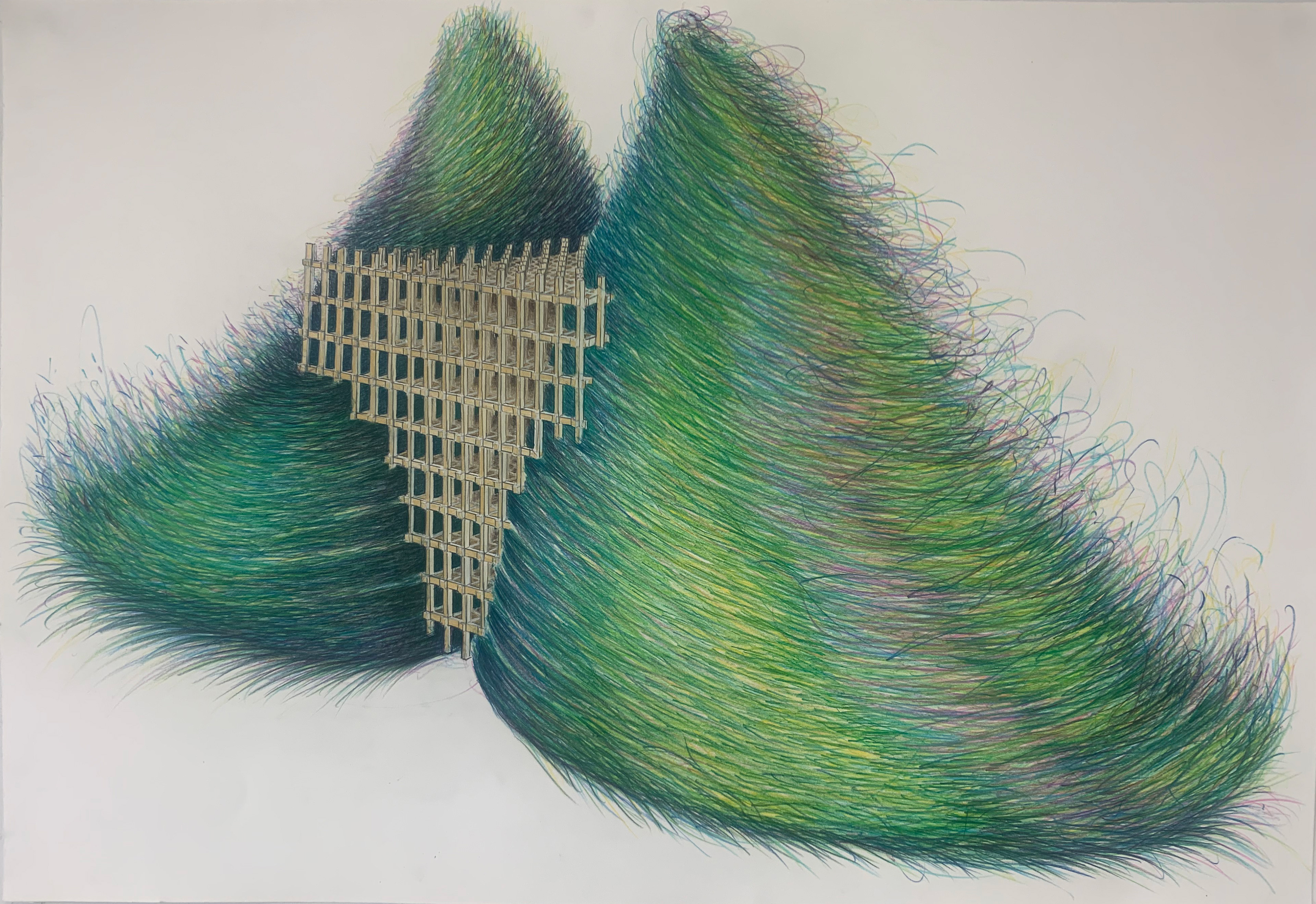 Structures D