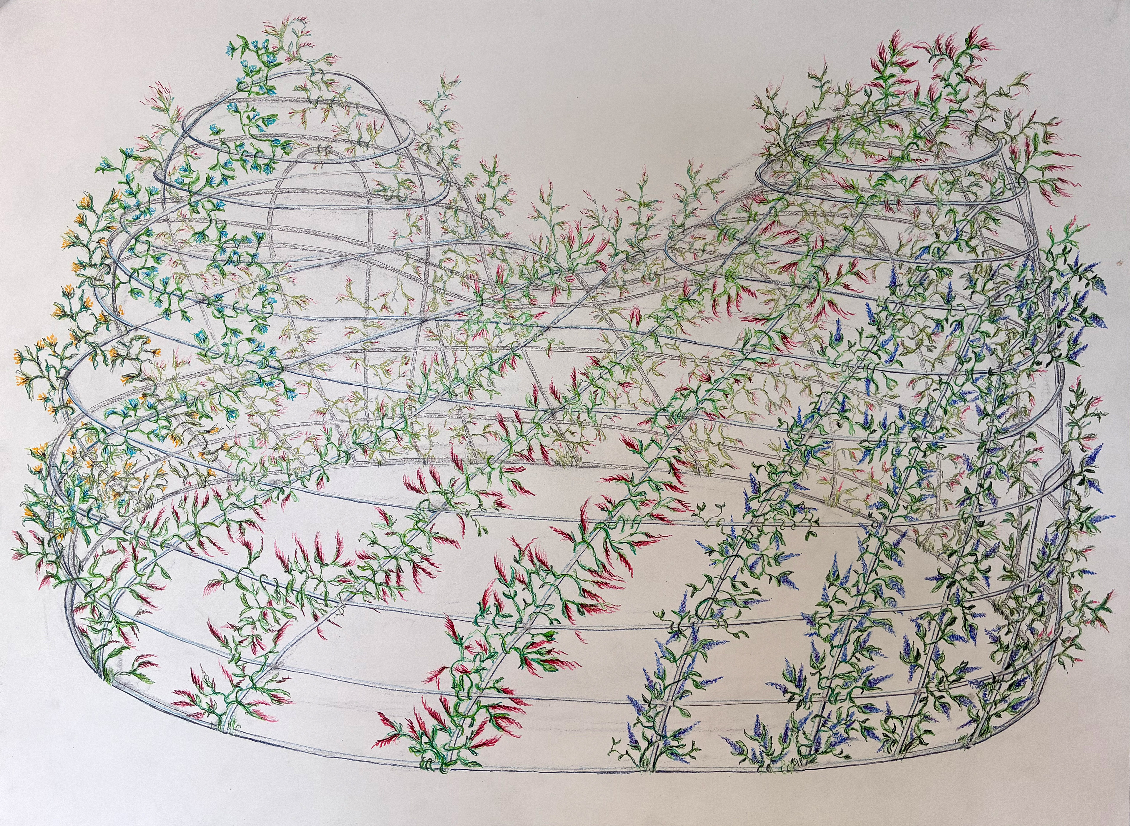 Trellis 3