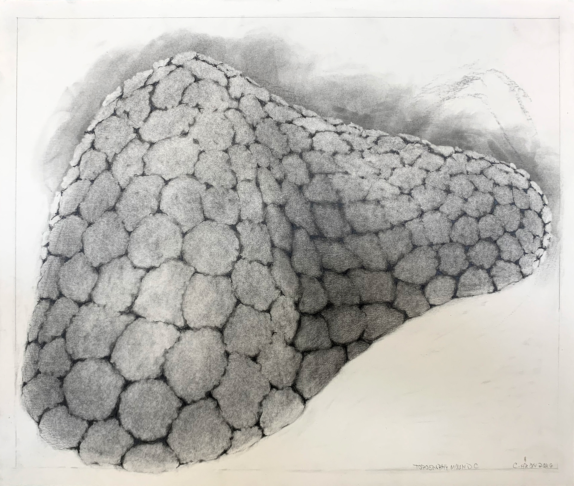 Topography Mound C