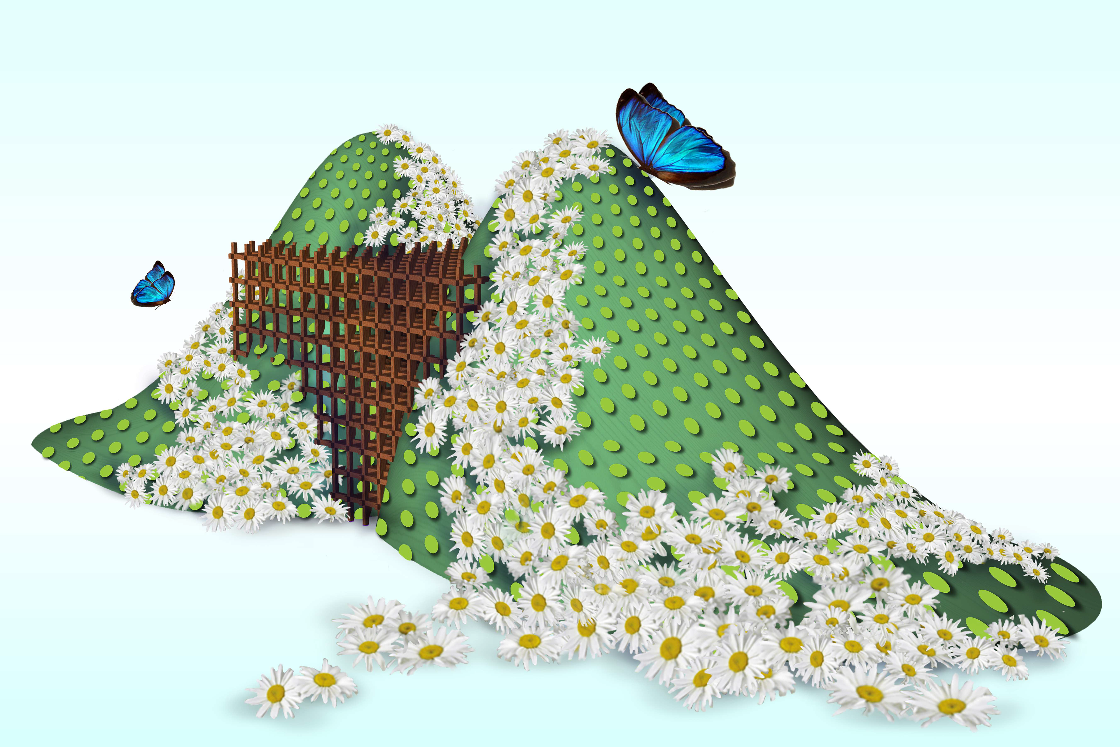 Mounds, Dots, and Daisies