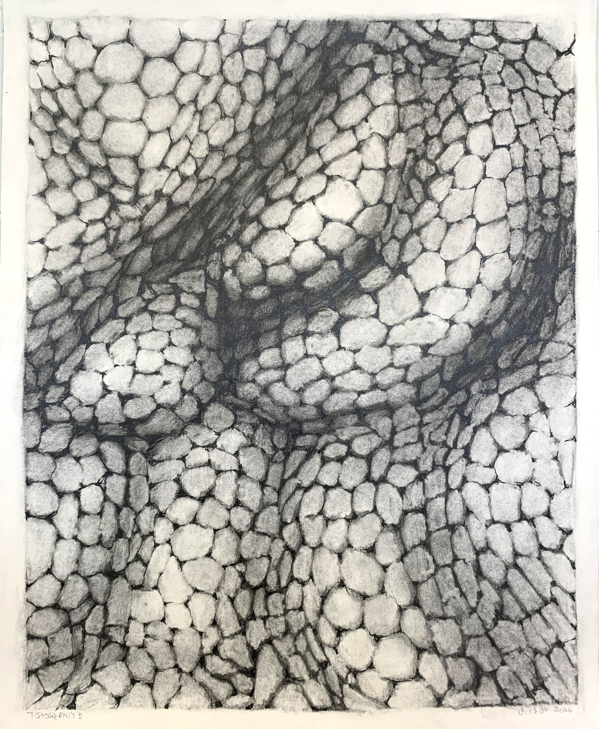 Topography B