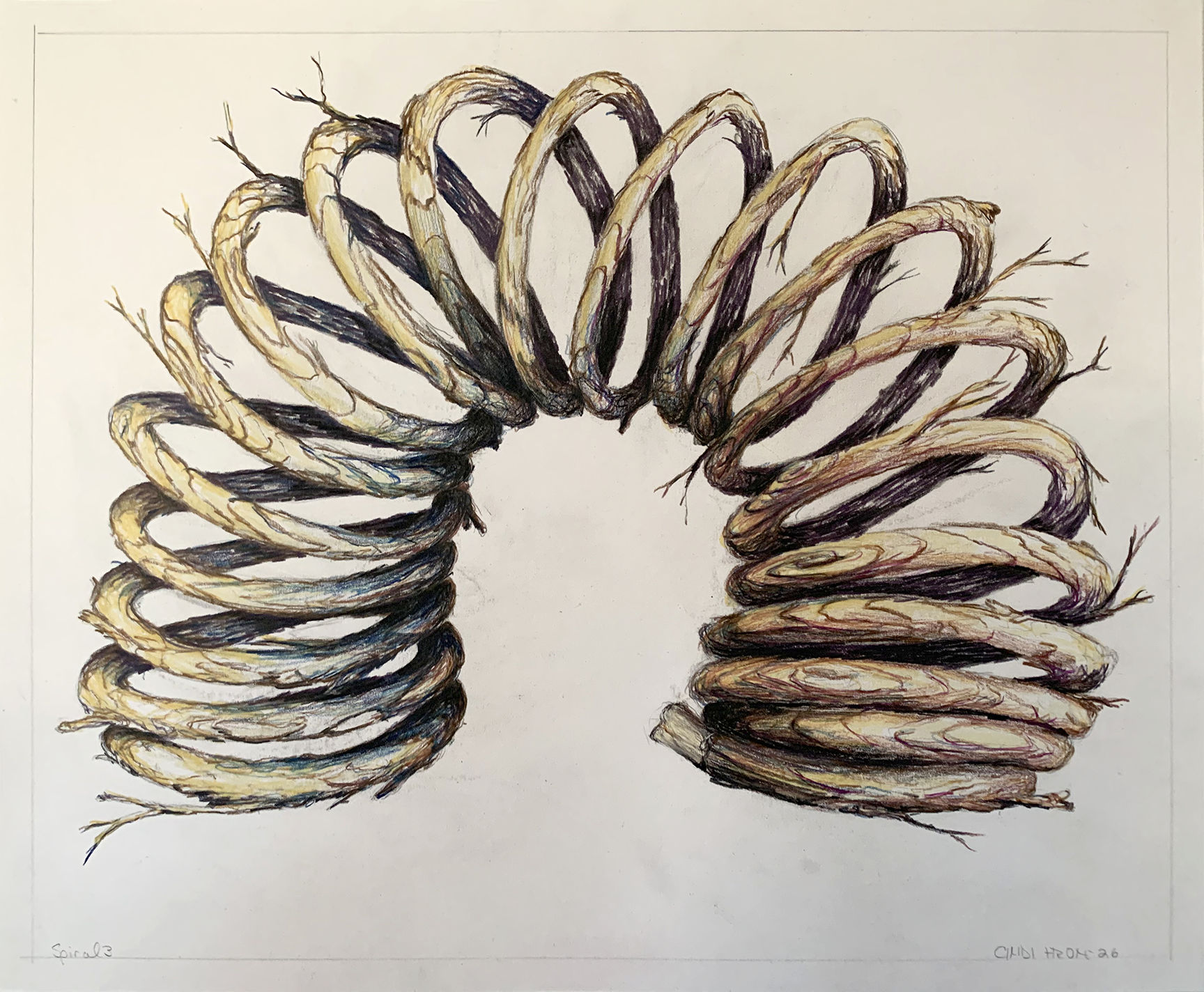 Spiral 3