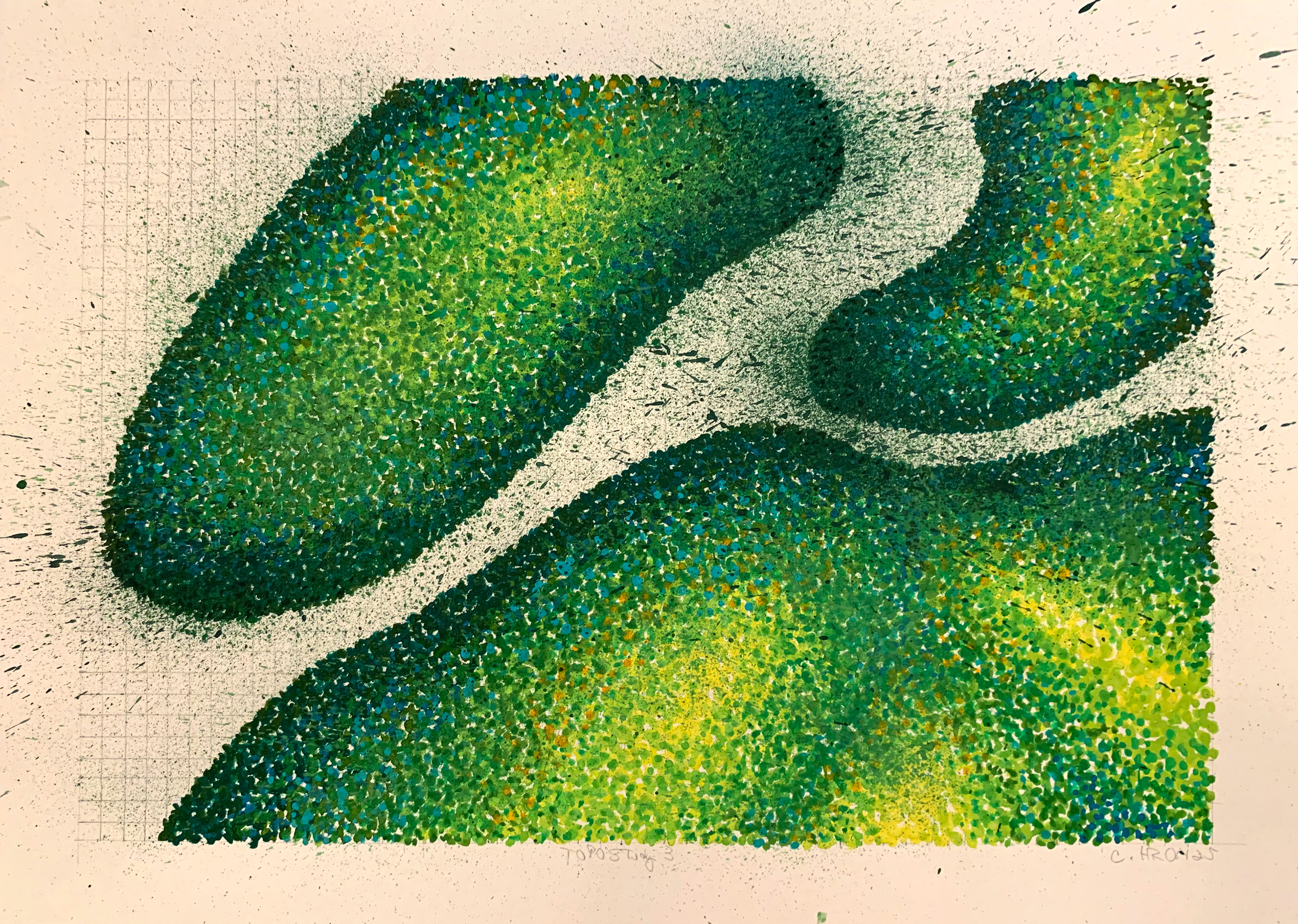 Topo Study 3