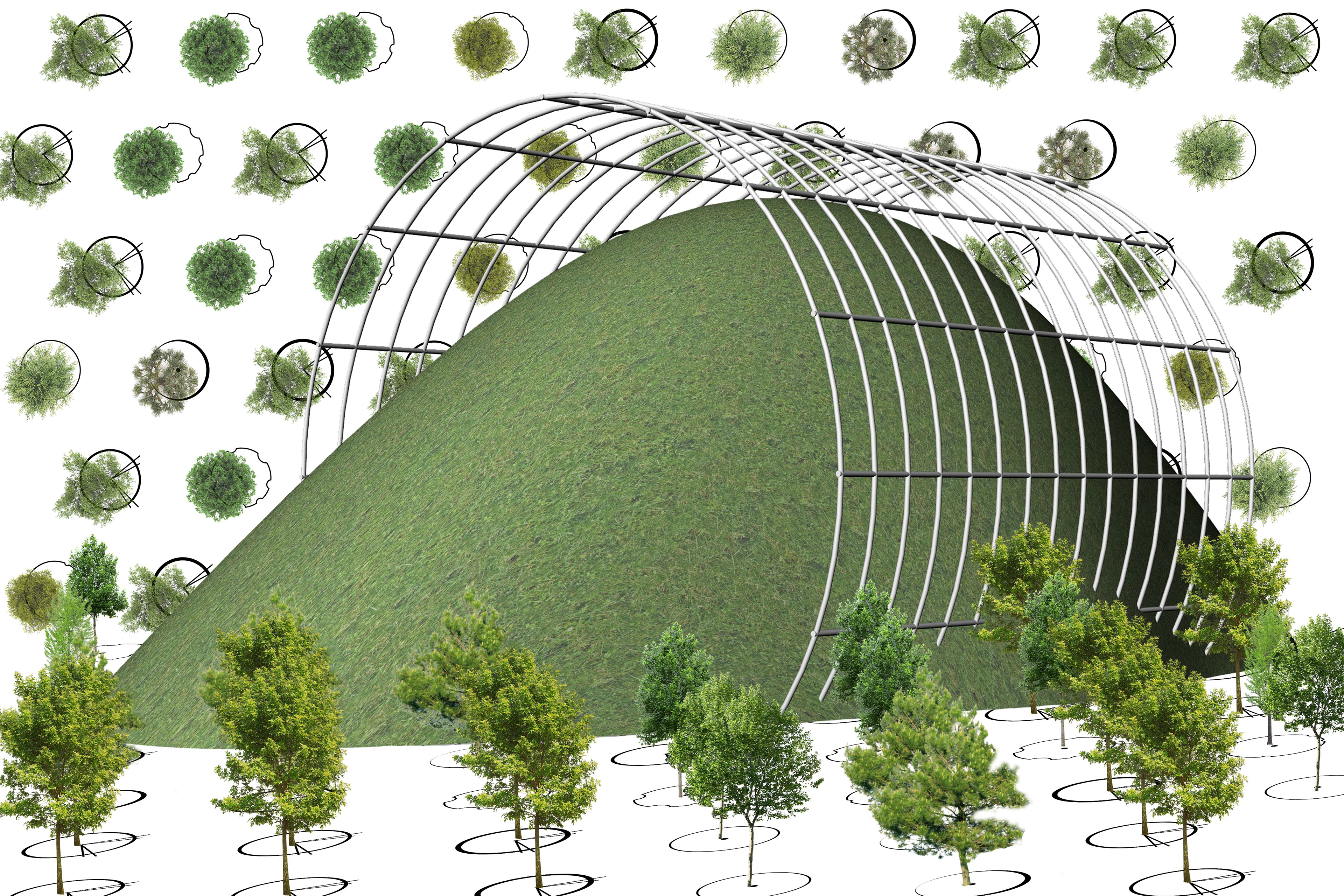 Mound, Cylinder, Tree Plan