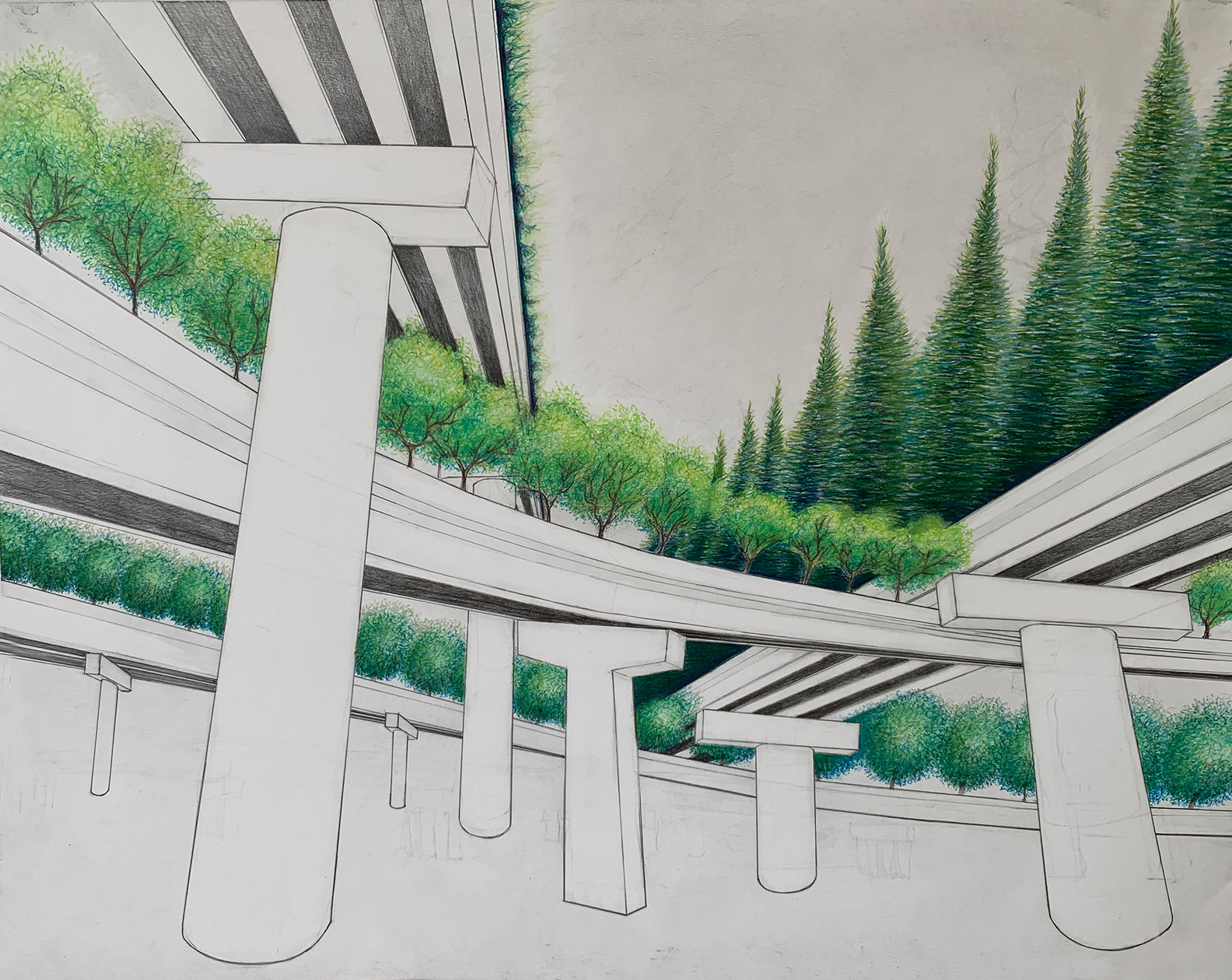 Highway Trees 4