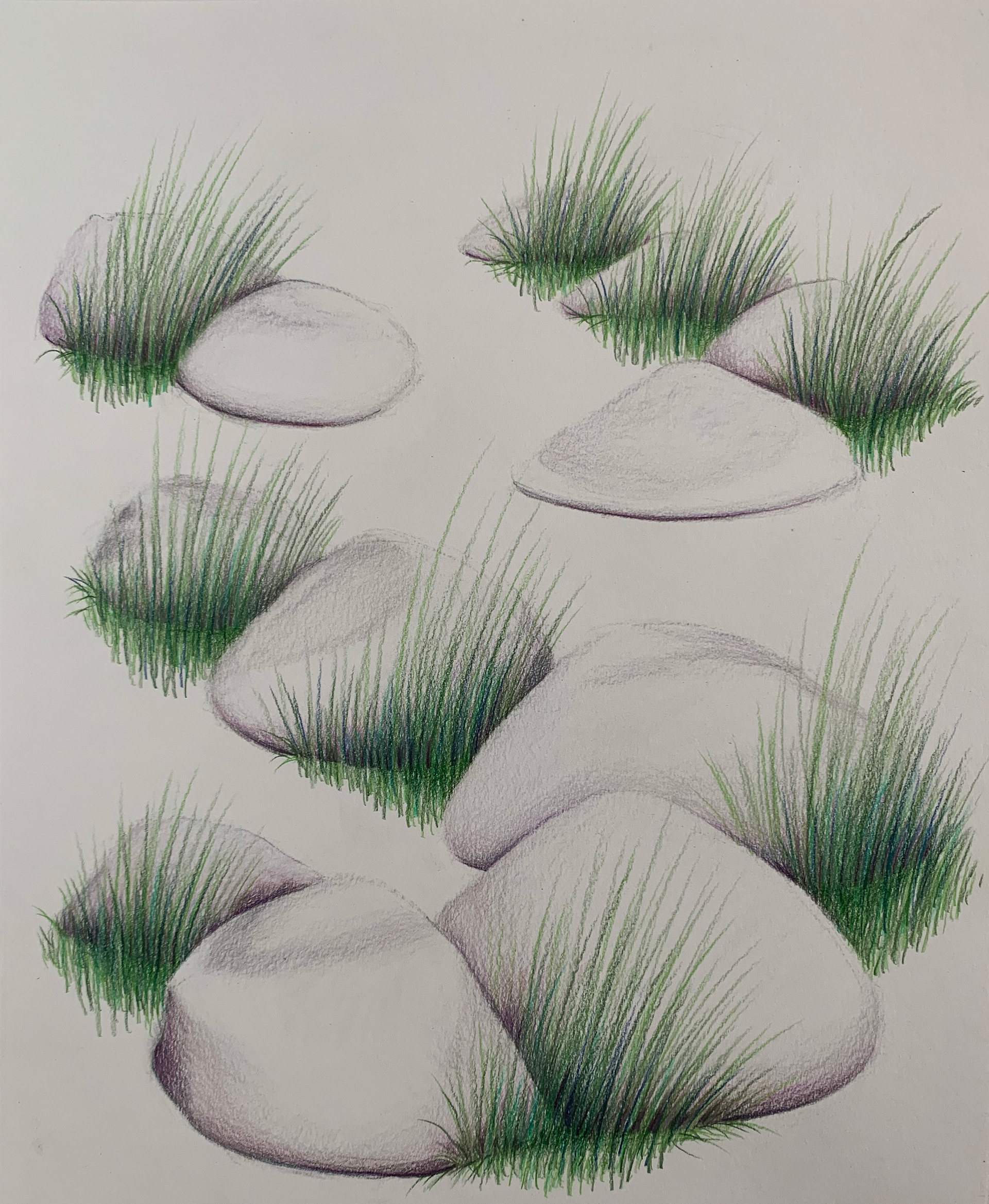 Stone Grass Study 2